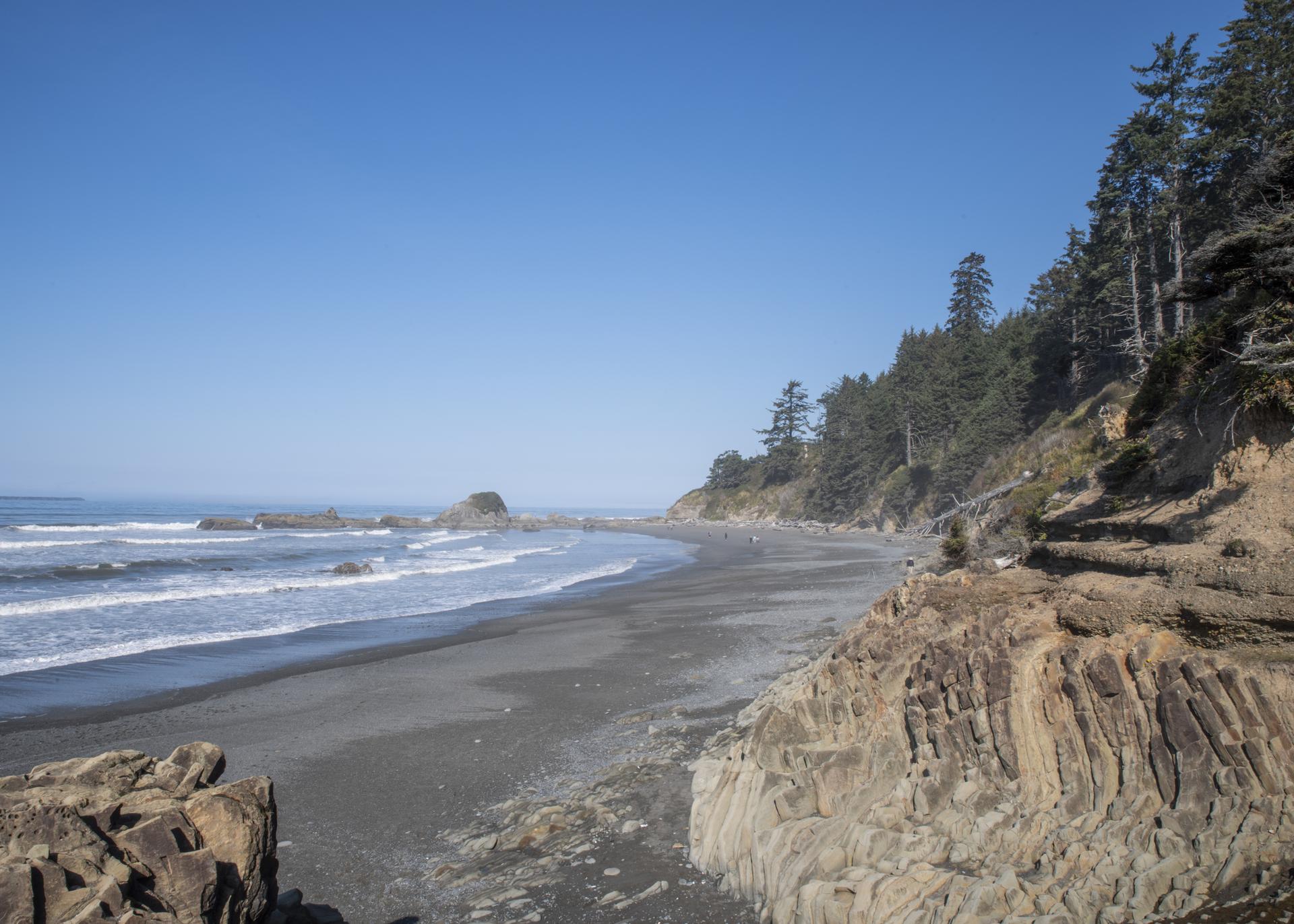 Sunny beach with ocean waves, sea stacks, and a rugged, tree-lined cliff.