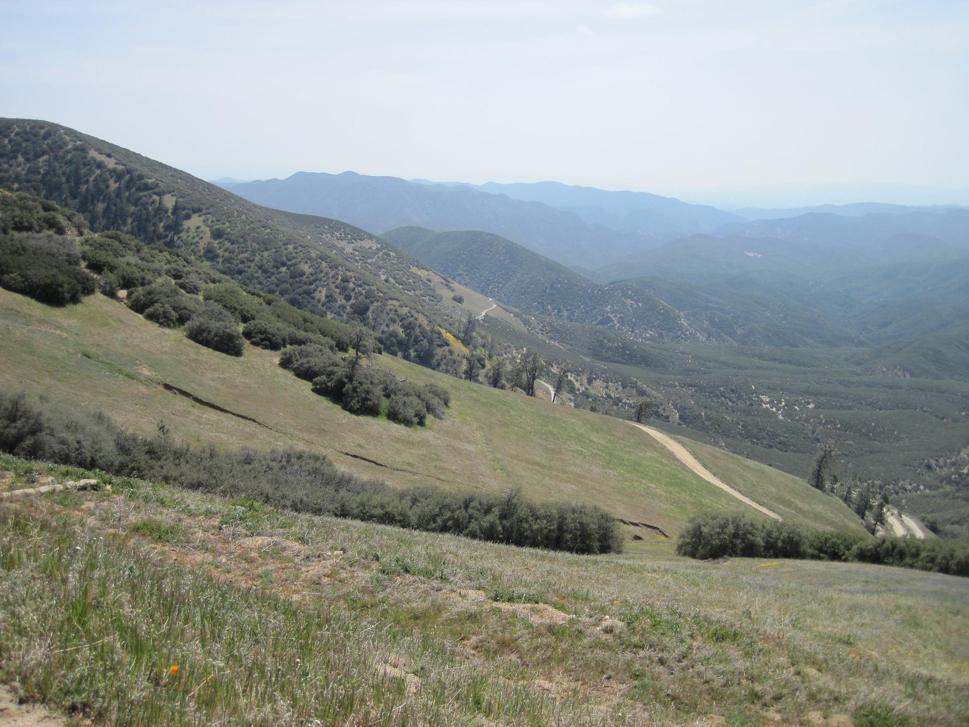 Expansive view of green hillsides with a winding path under a clear sky.