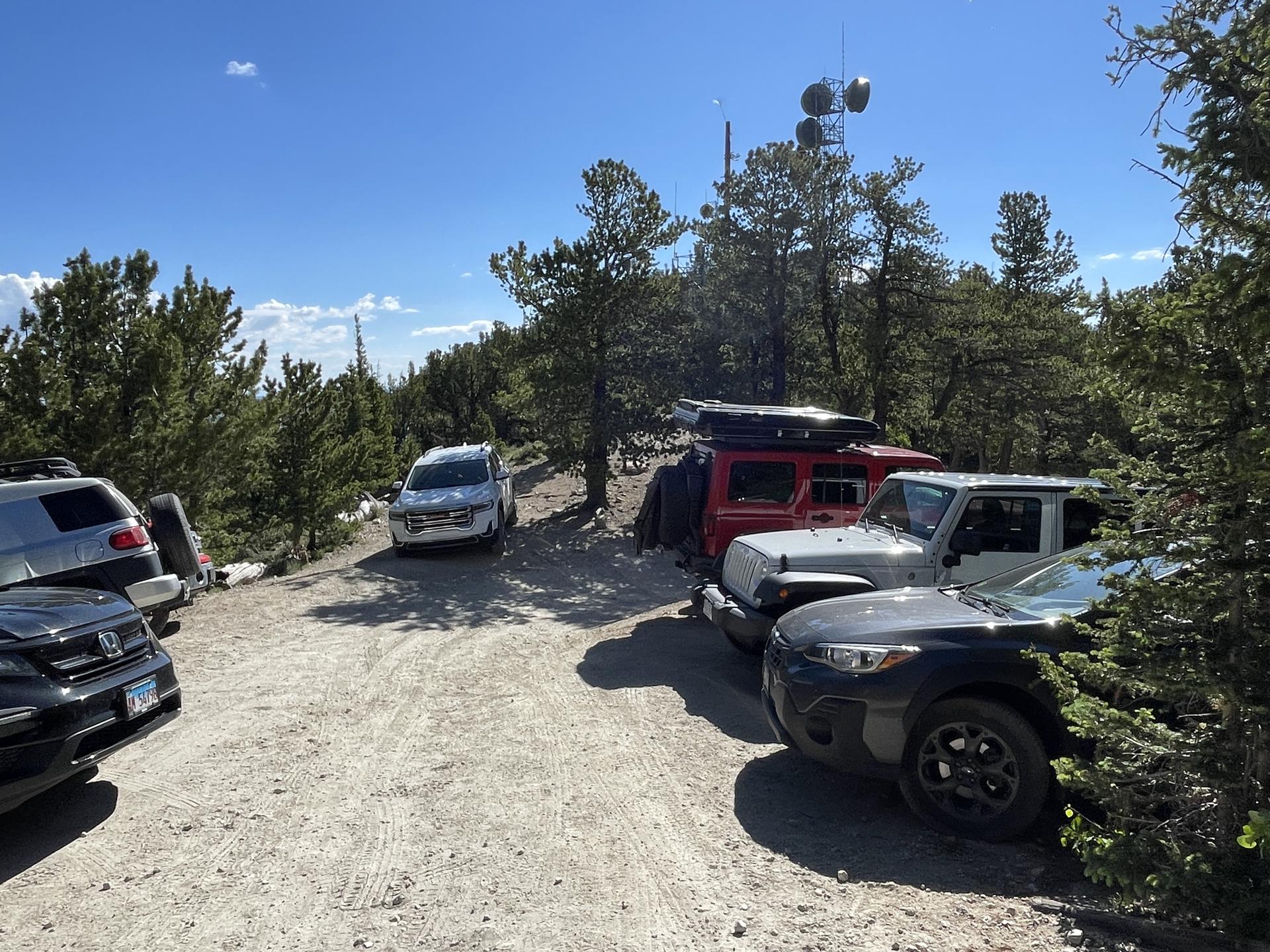 Several vehicles parked on a dirt road among pine trees on a sunny day.