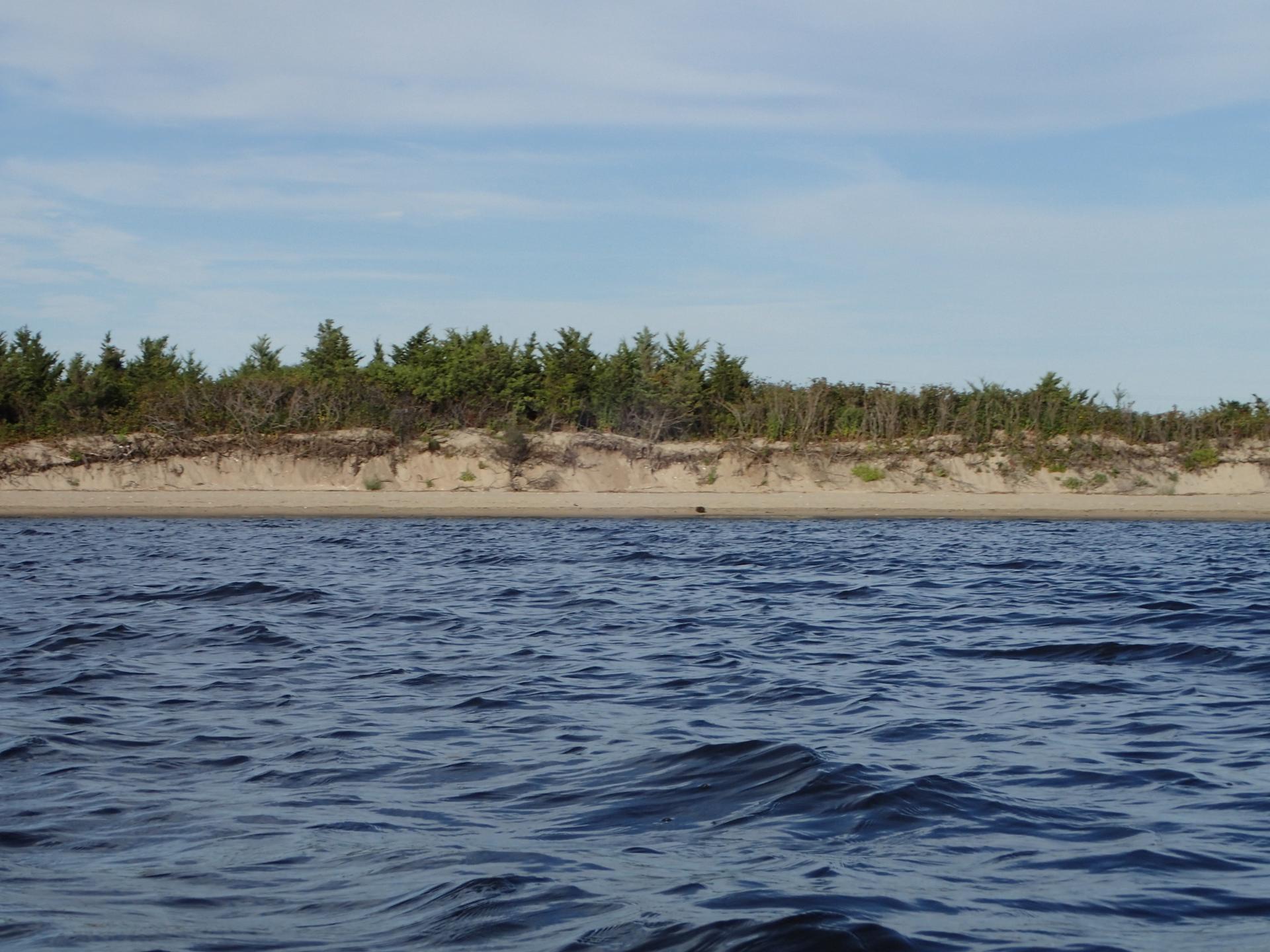 Choppy dark blue water in foreground, sandy bank with green trees.