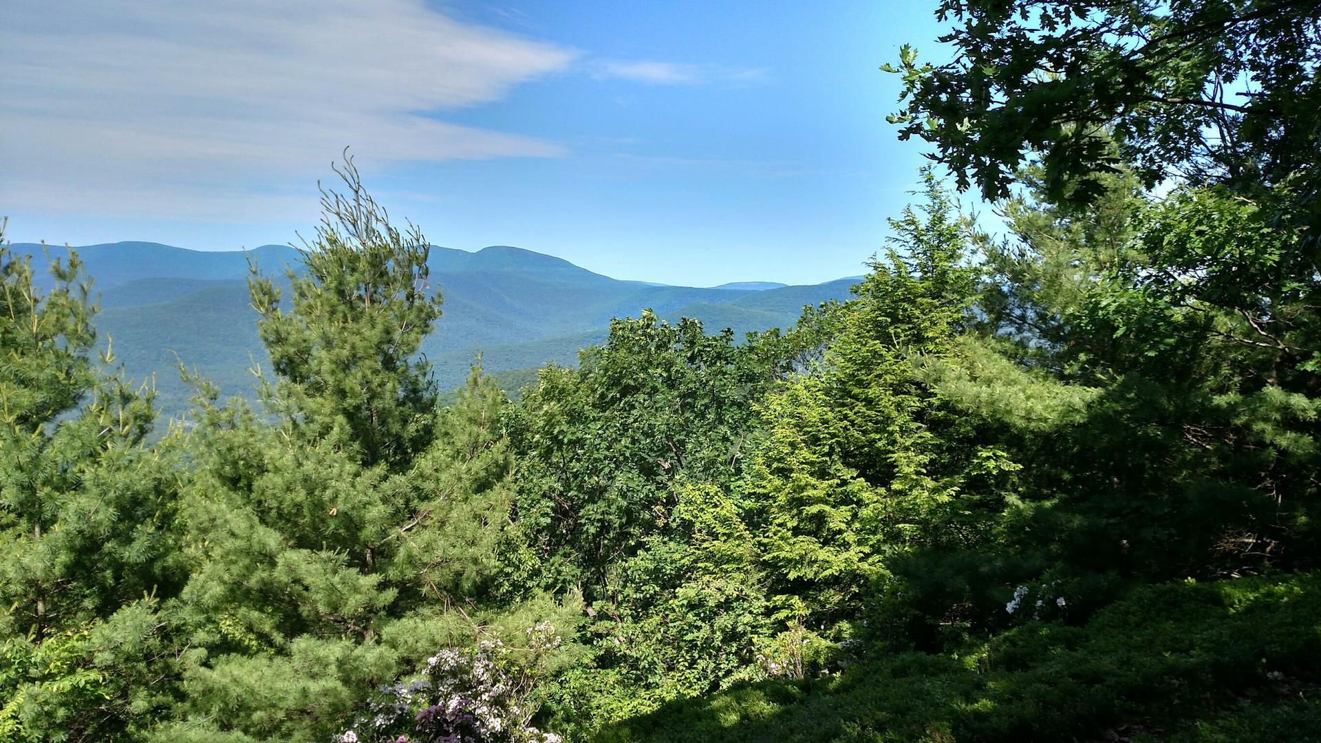 Evergreen trees frame distant green mountains under a bright blue sky.