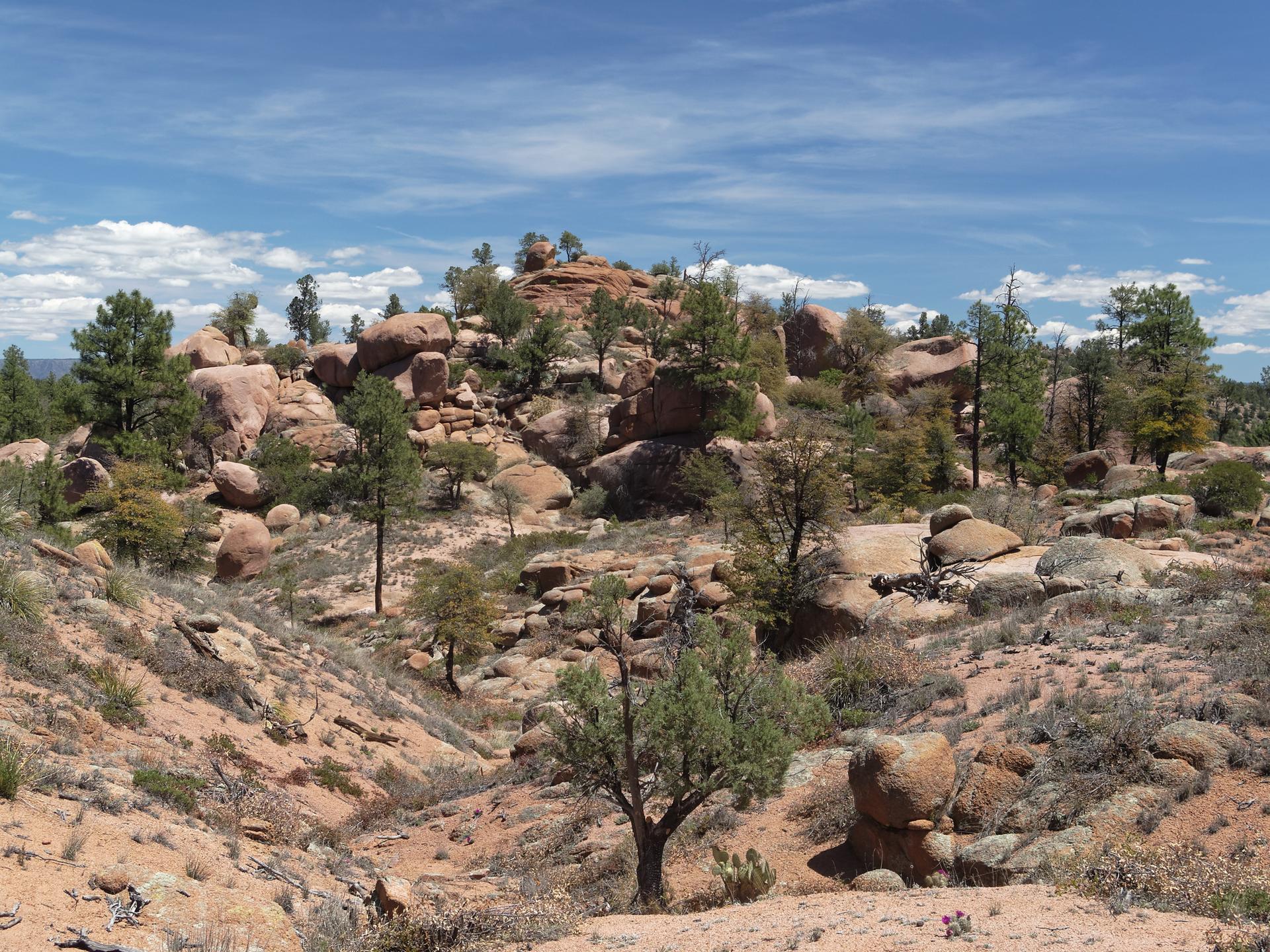 Sunny, arid landscape with large rock formations, scattered green trees, and blue sky.