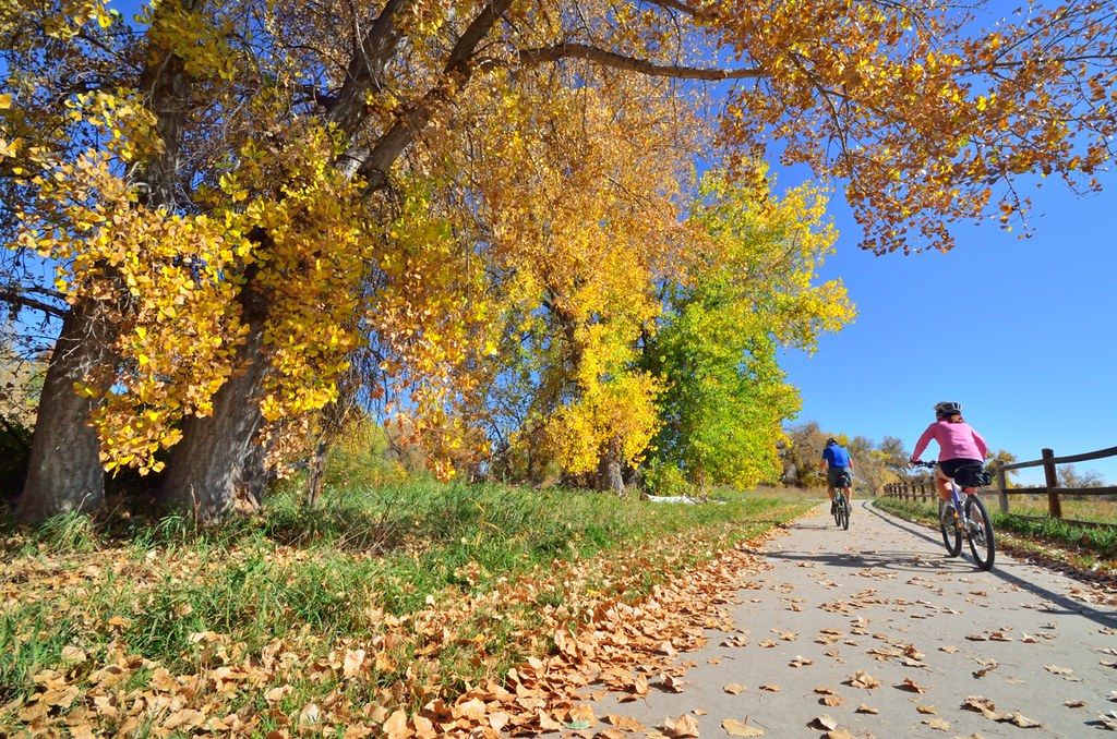 Two people bike on a sunny path lined with vibrant autumn trees. - Owl Canyon Road loop