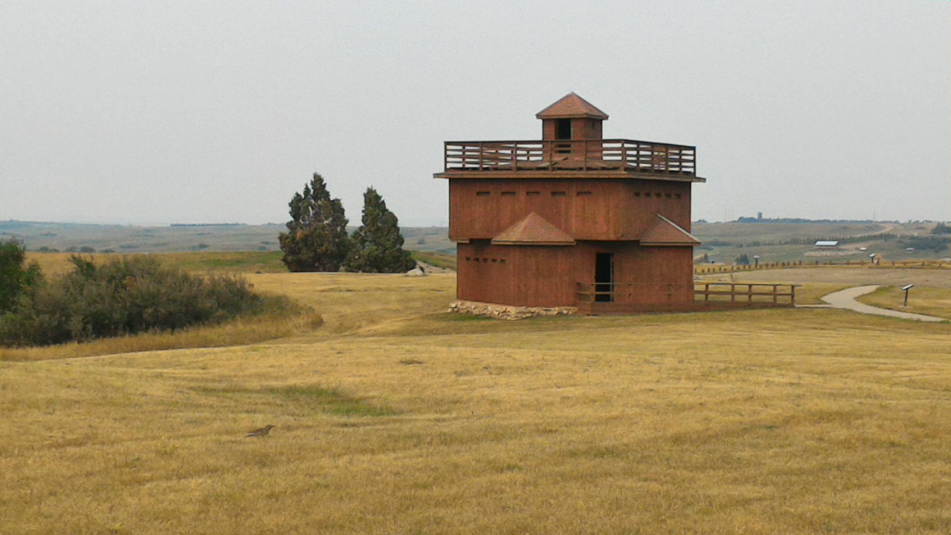 Wooden fort-like building in a golden field under an overcast sky.