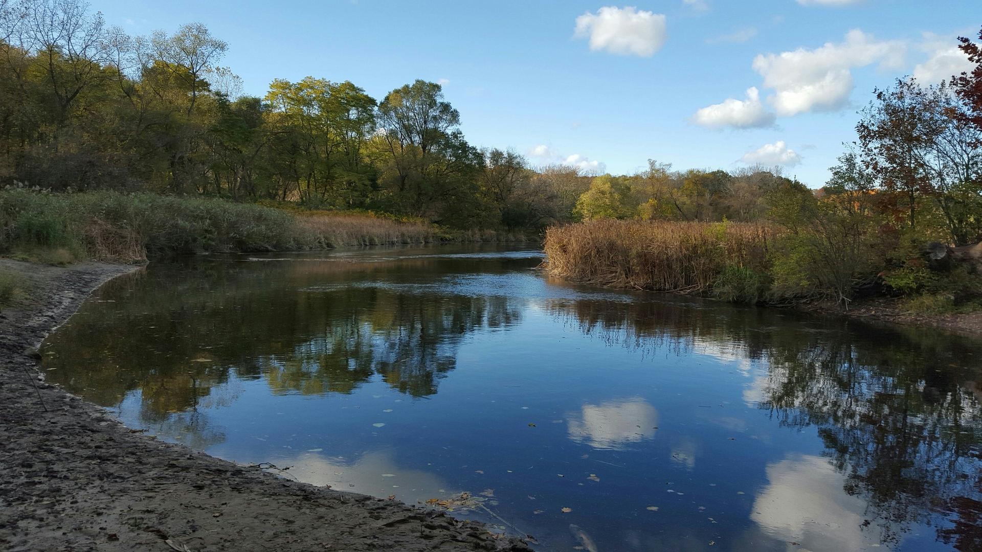 A calm river reflecting a blue sky, surrounded by autumn trees.