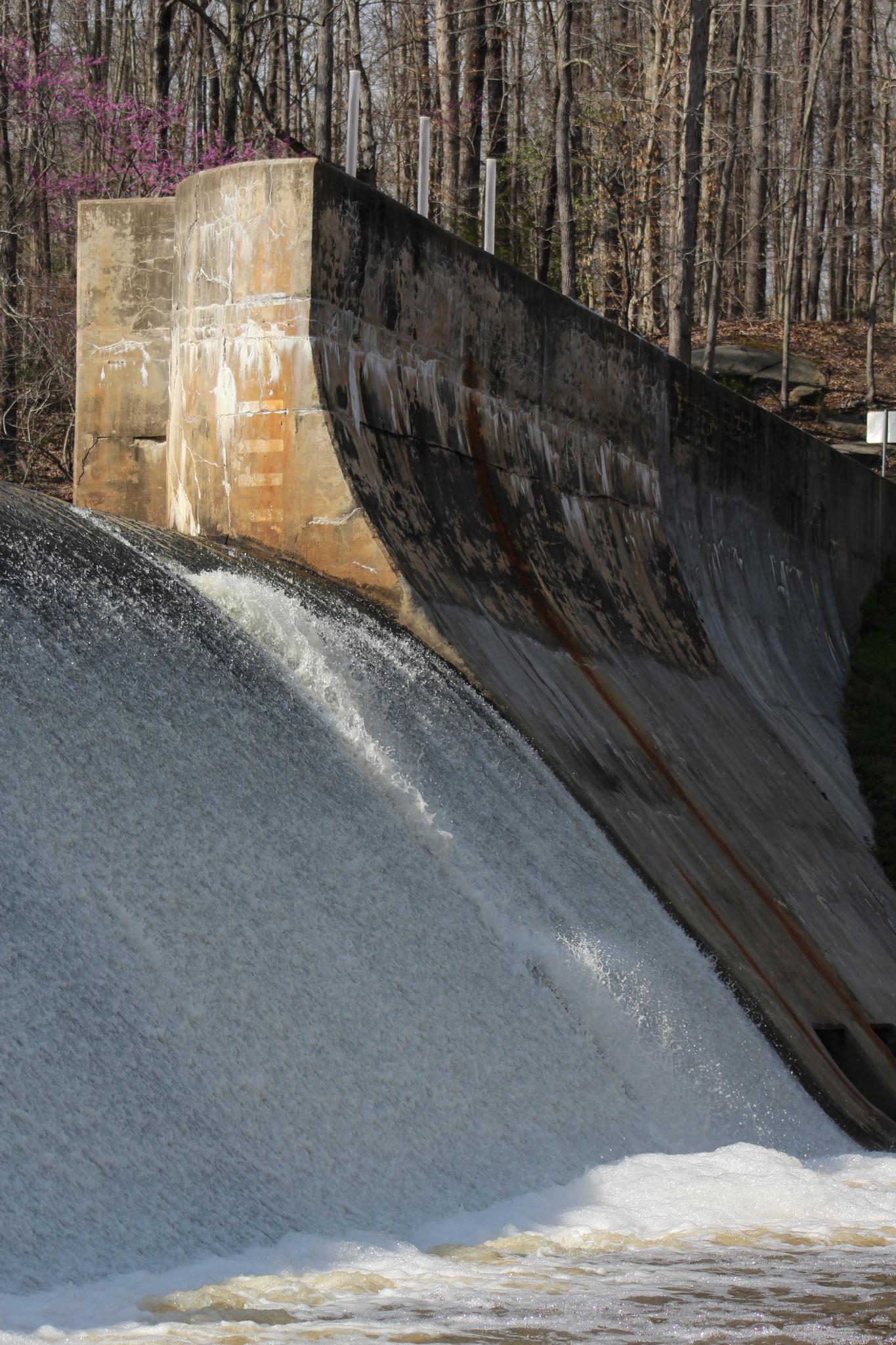 Water cascades over a large concrete dam in a wooded area.