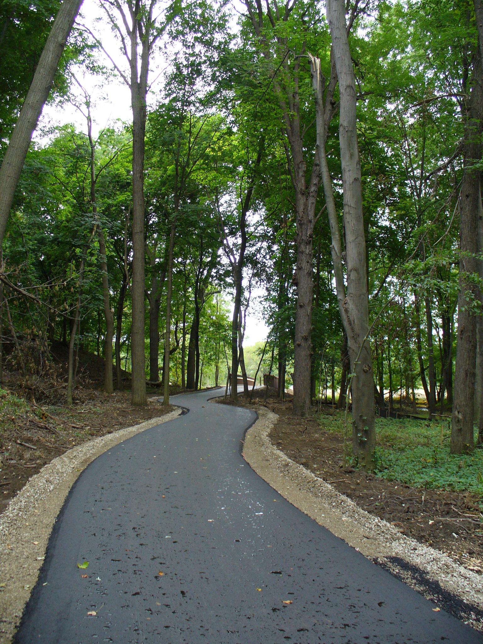A newly paved path winds through a dense, green forest.