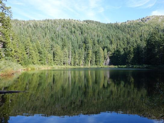 Calm lake perfectly reflecting a dense green forest under a bright sky.