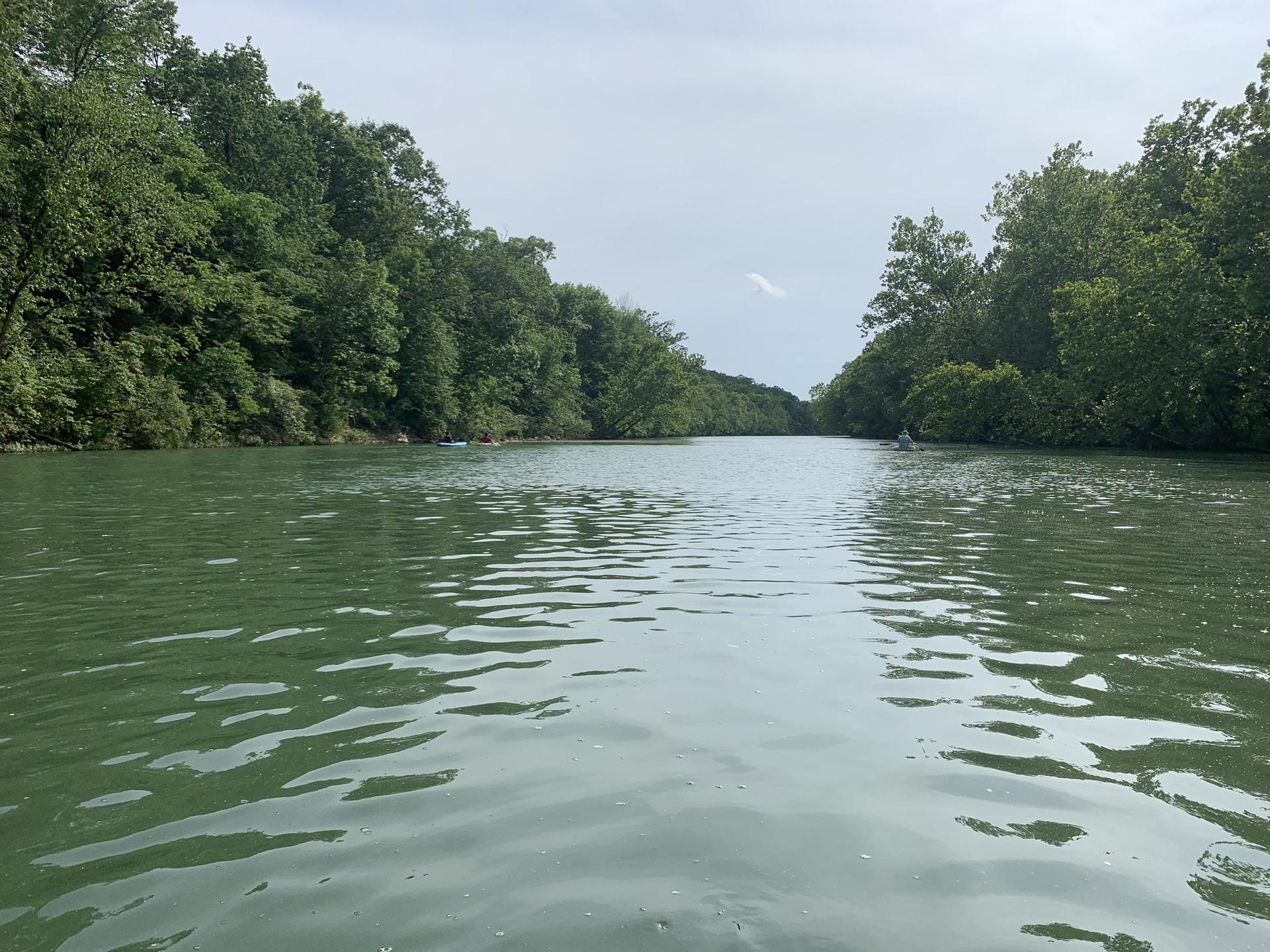 A wide green river flows through dense green forest under an overcast sky.