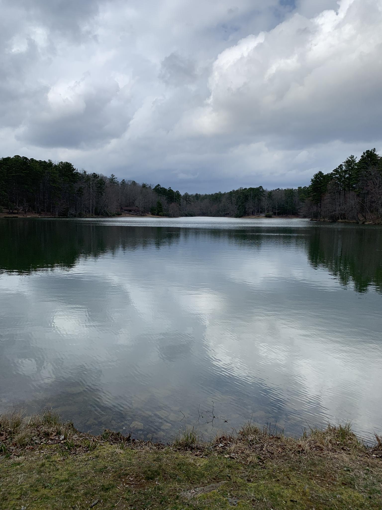 Calm lake reflecting a cloudy sky, bordered by dark trees and grass.