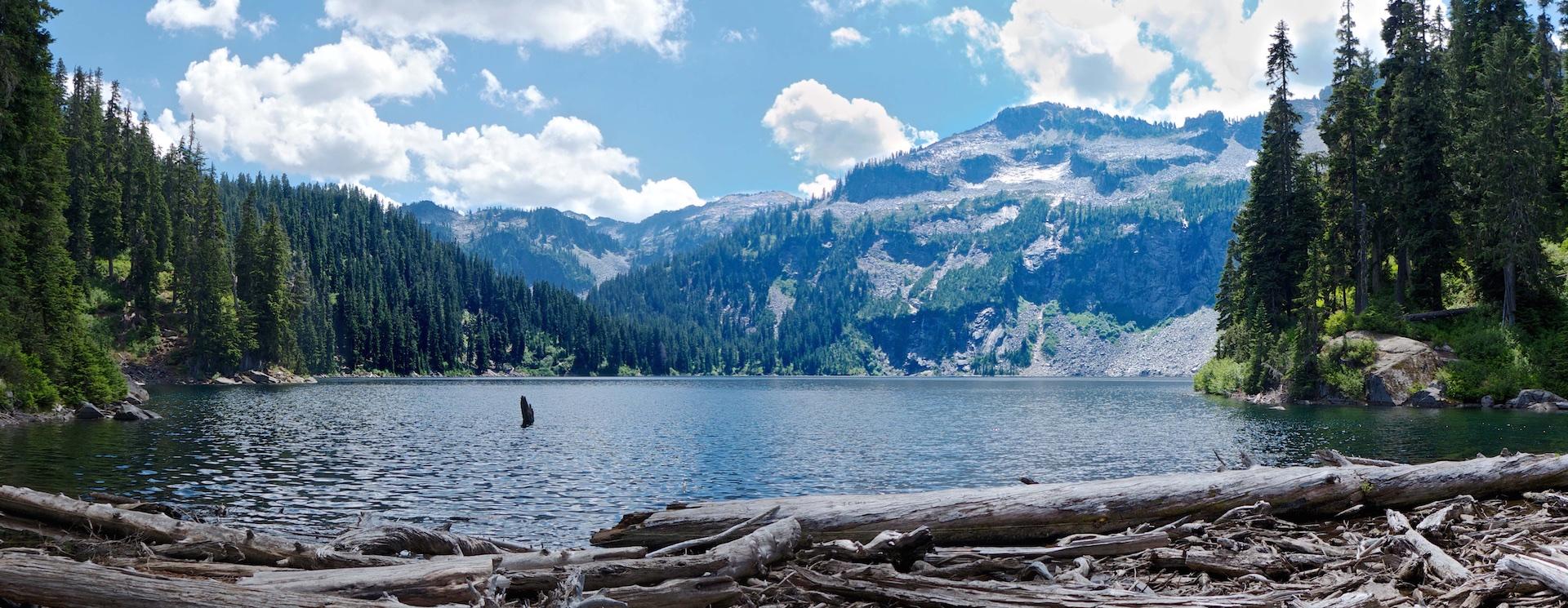 Mountain lake with evergreen forests, snow-capped peaks, and driftwood under a sunny sky.