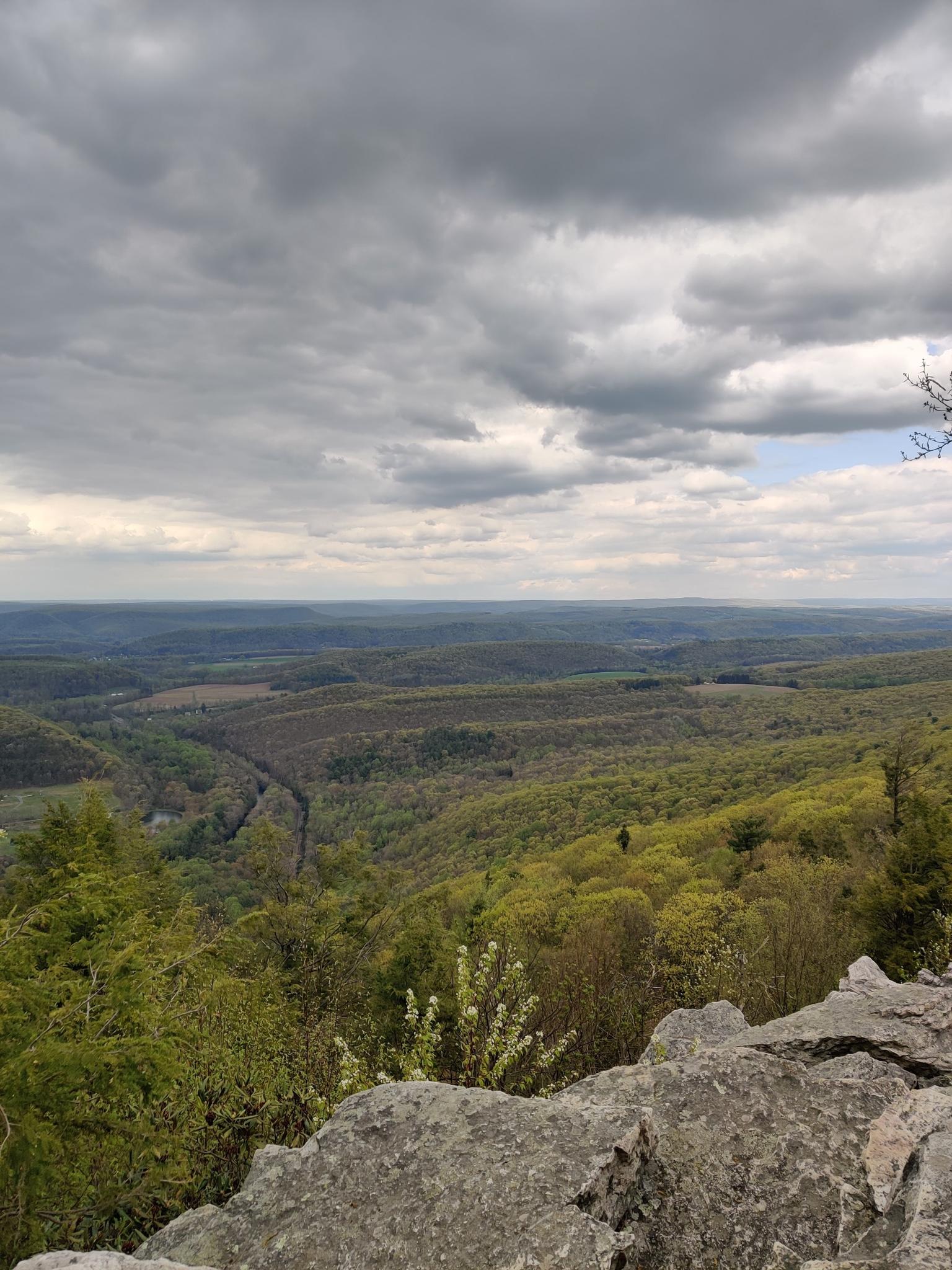 Expansive view of a forested valley under a dramatic cloudy sky.