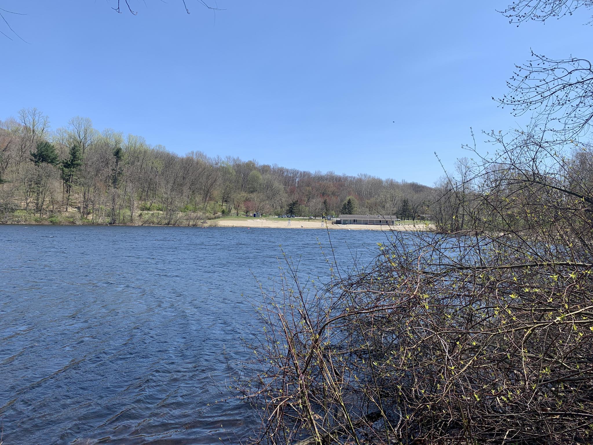 Wide lake with a distant sandy beach and forested shoreline under blue sky.