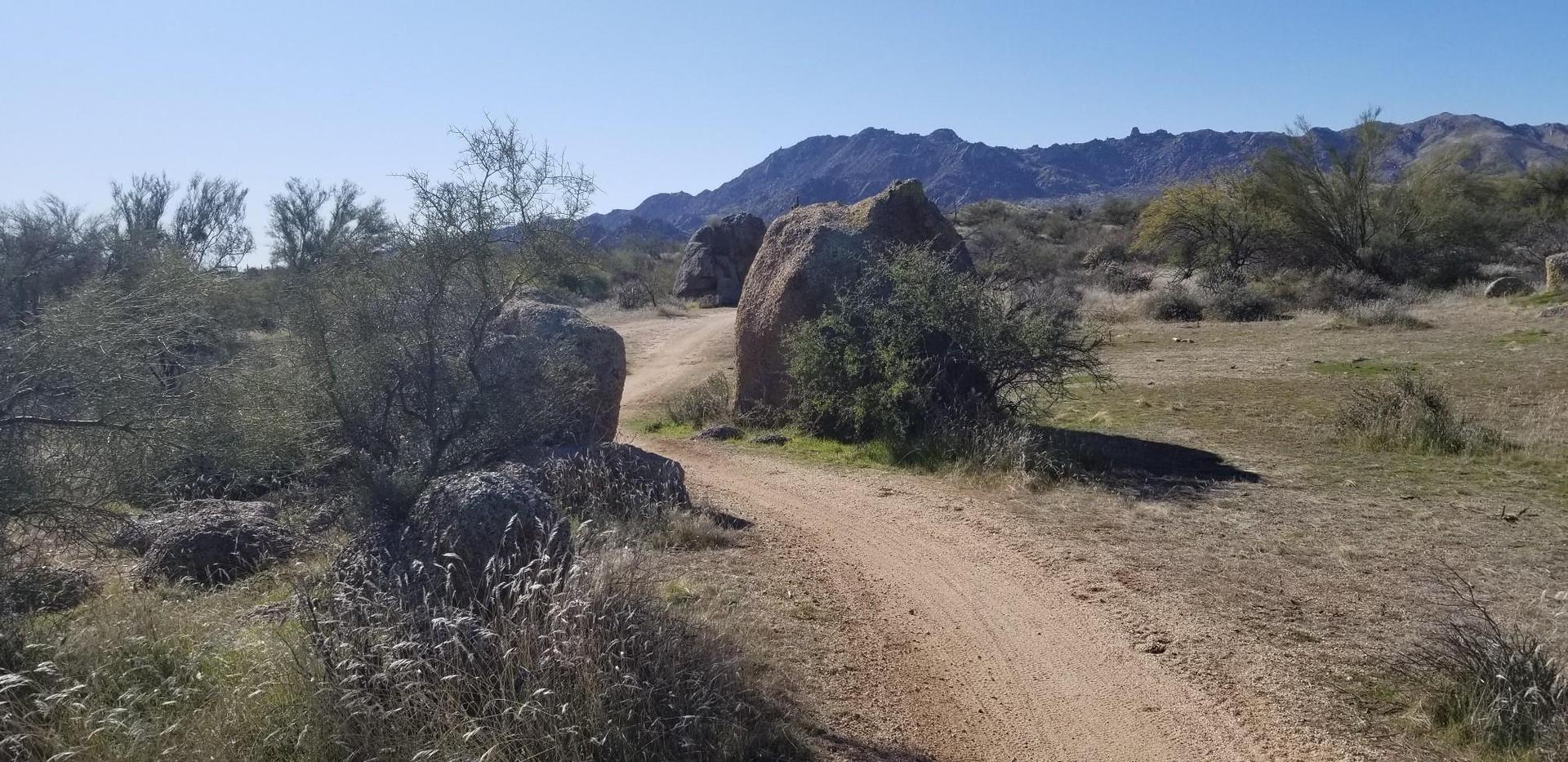 Desert trail winding between large boulders under a clear blue sky.