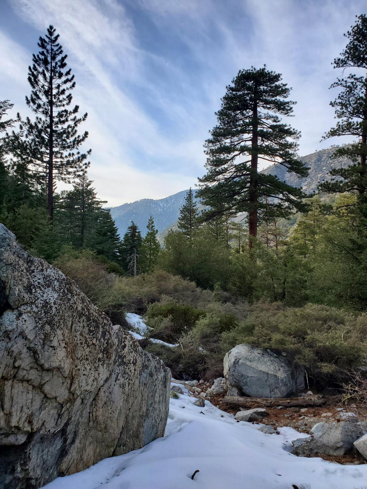 Snowy ground and large rocks in a forest with distant mountains.
