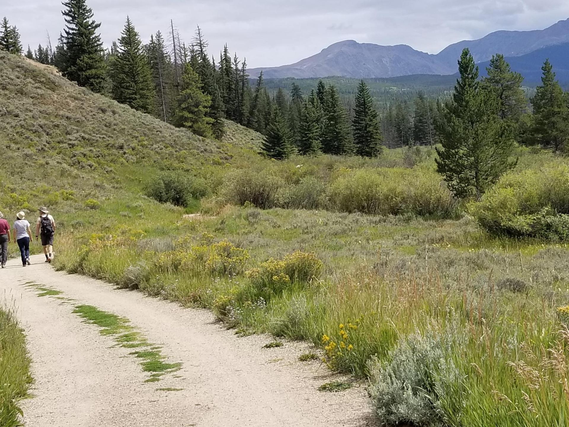 Three people walk on a dirt path through a grassy, forested landscape under a cloudy sky.