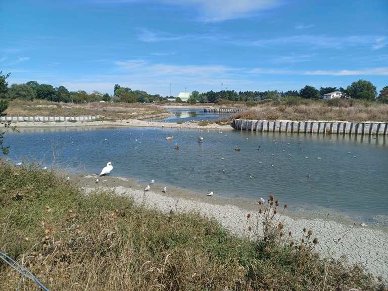 Lac d'Aytré Radtouren und Radwege komoot
