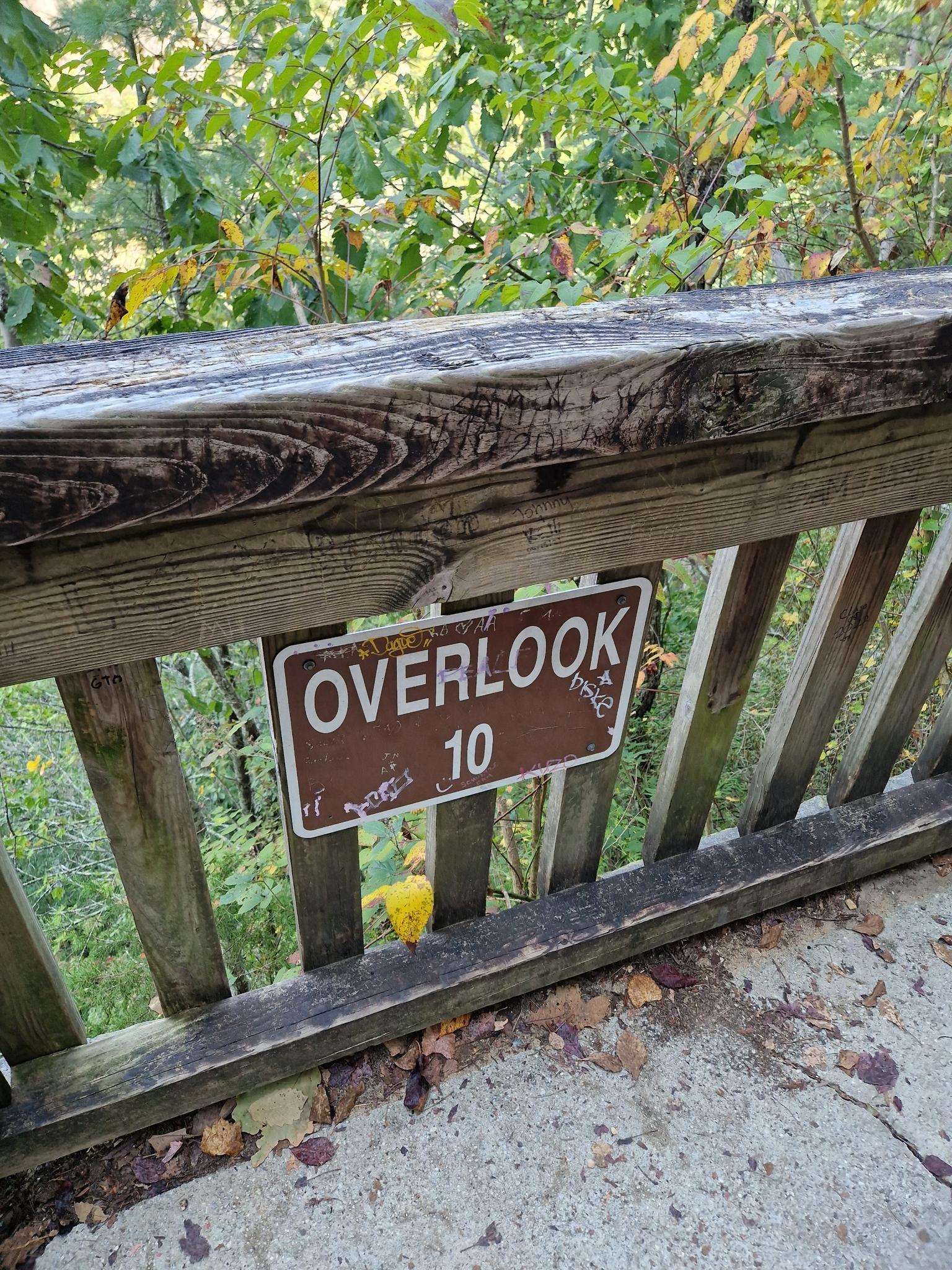 Wooden overlook railing with a brown sign, surrounded by green trees.