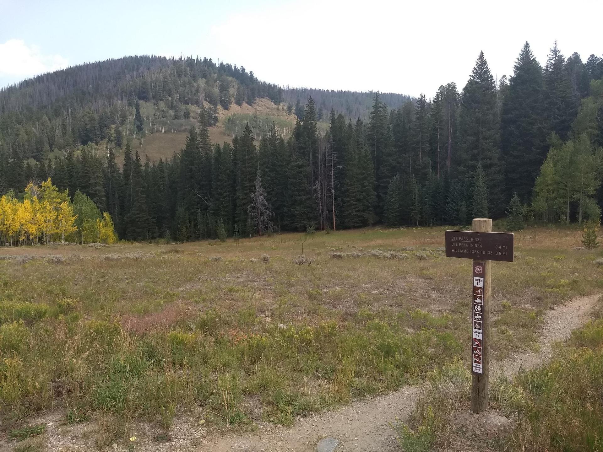 A trail sign on a dirt path, leading to a field, forest, and mountain.