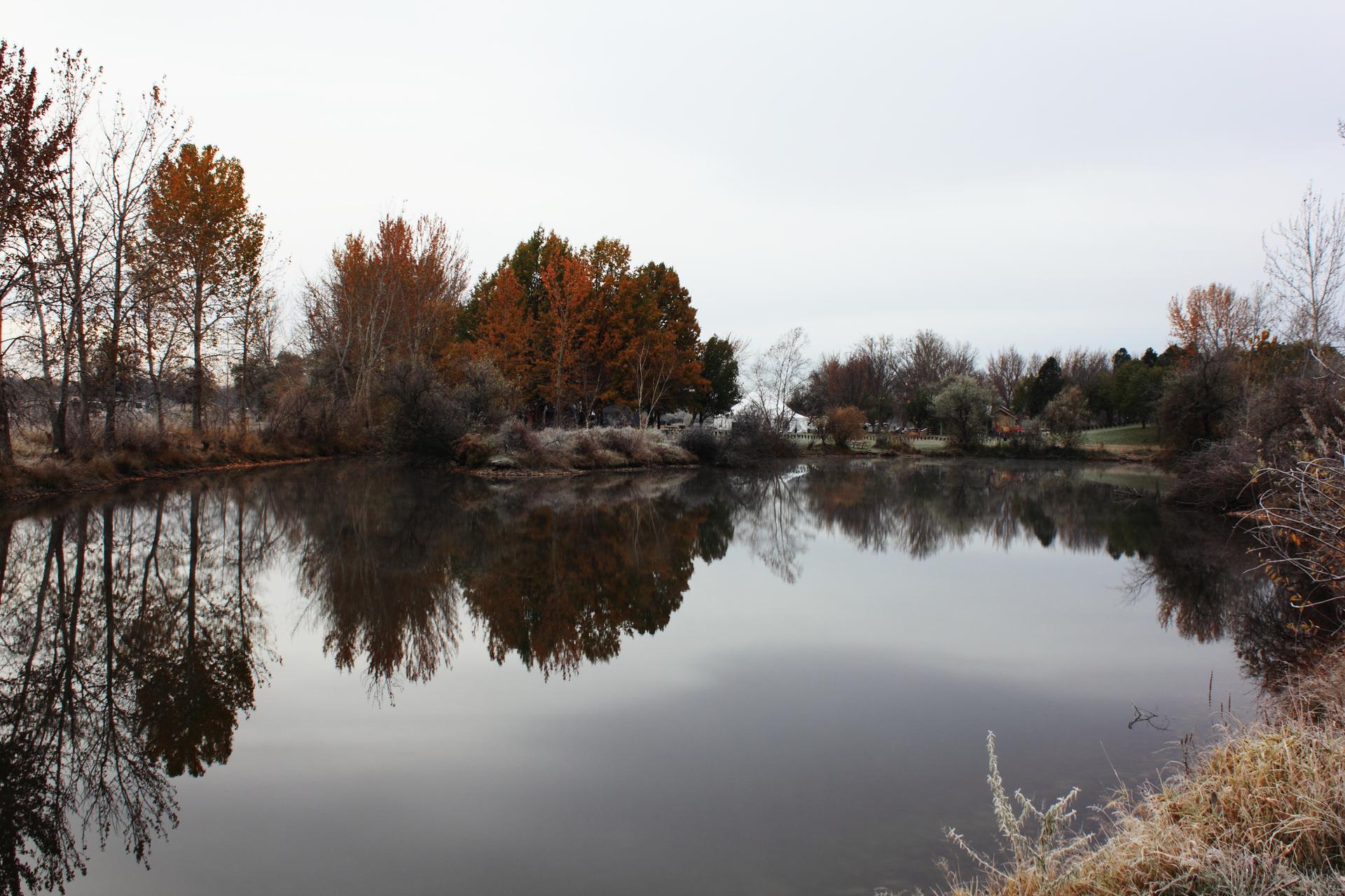 Calm water reflects autumn trees under an overcast sky with frosty foreground.