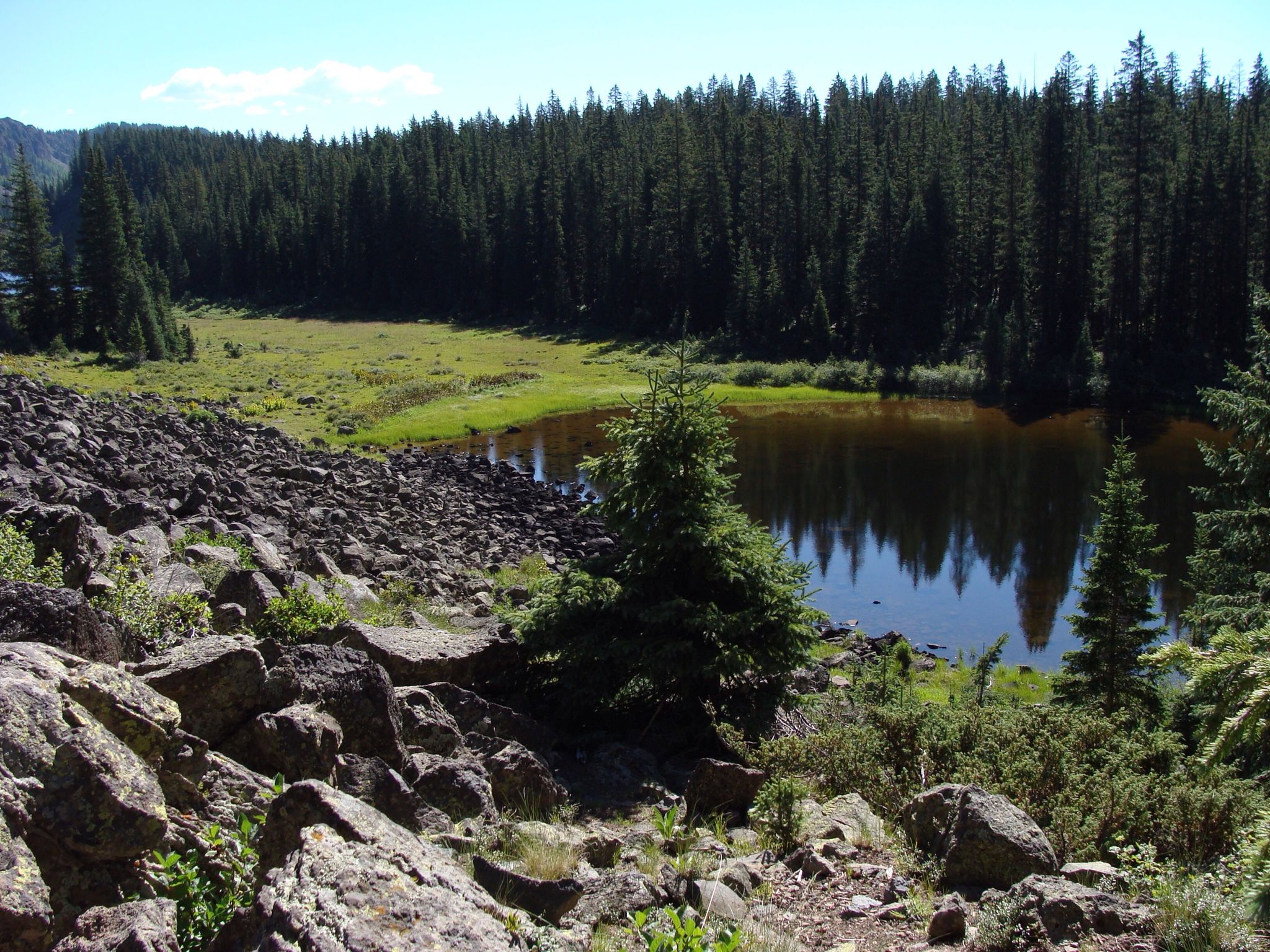 Rocky foreground overlooks a calm lake reflecting a dense pine forest. - Cottonwood Trail