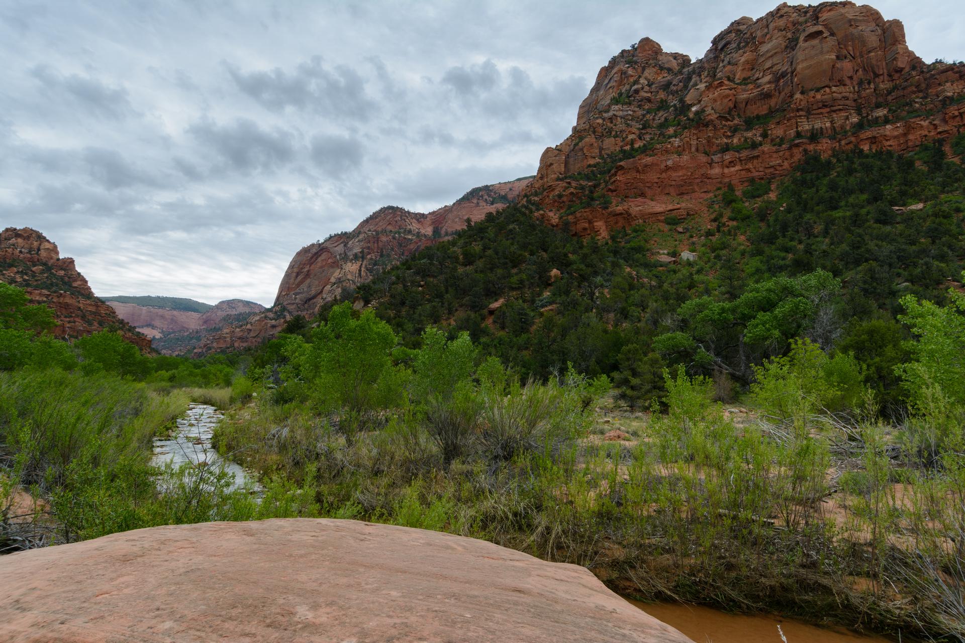 Stream flowing through a green valley with red rock mountains under cloudy sky.