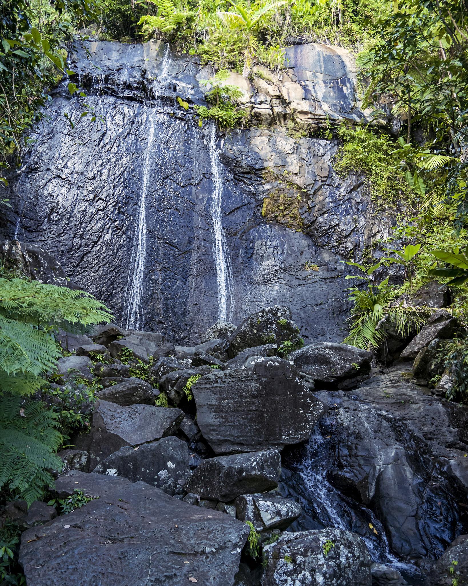 A tall waterfall cascading down a dark, rocky cliff in a jungle.