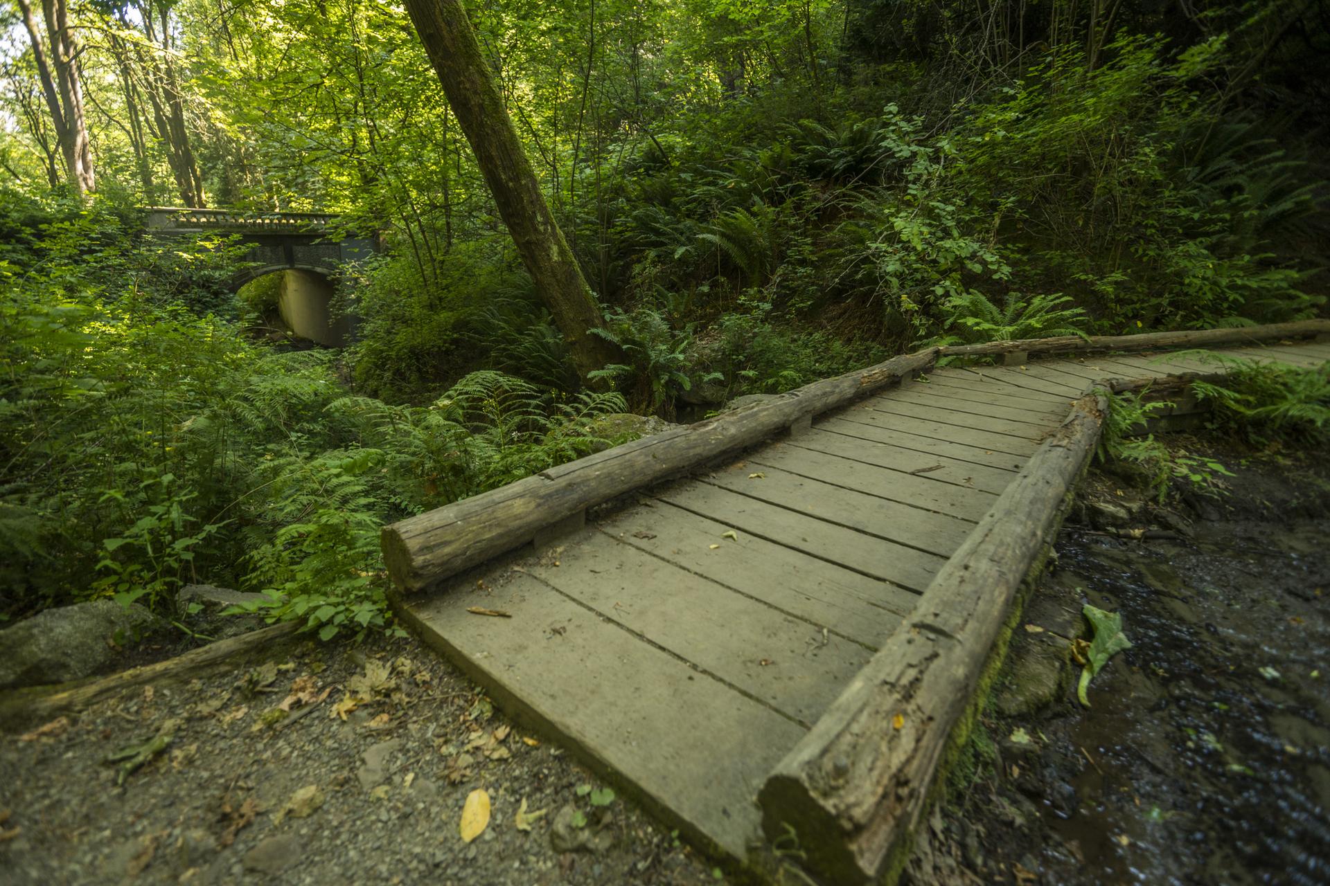 Wooden footbridge crosses a stream in a lush green forest with a stone bridge.