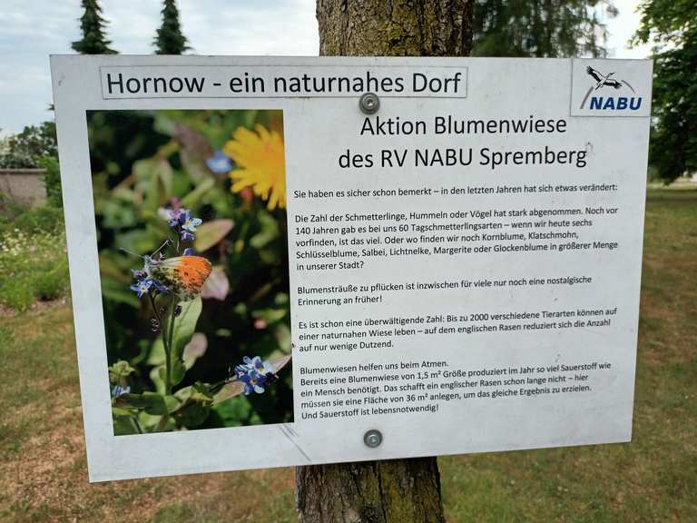 Blumenwiese und Turmtrafostation des RV NABU Spremberg - Itinéraires vélo  et carte