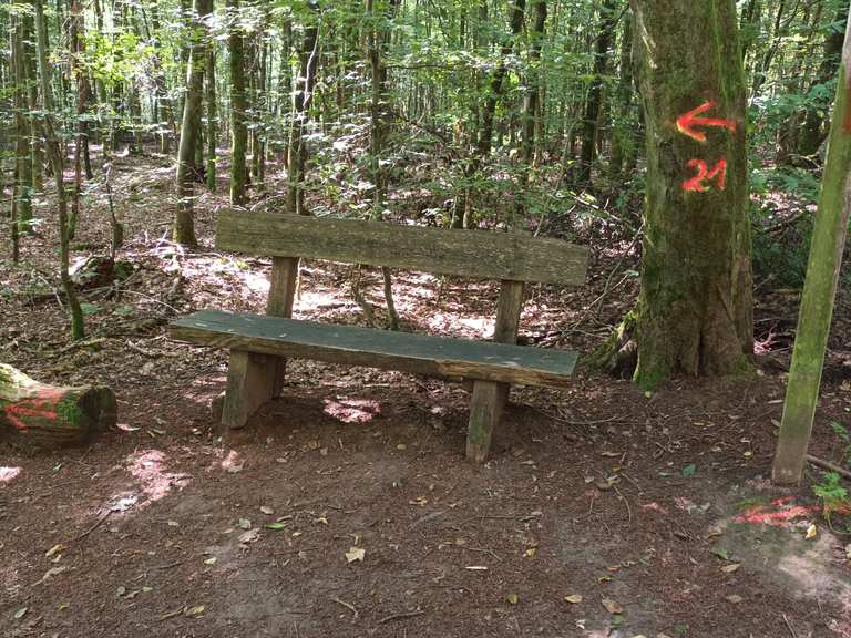 Holzbrücke und Kondelerbach – Margarethenhöhle Runde von Haustadt ...