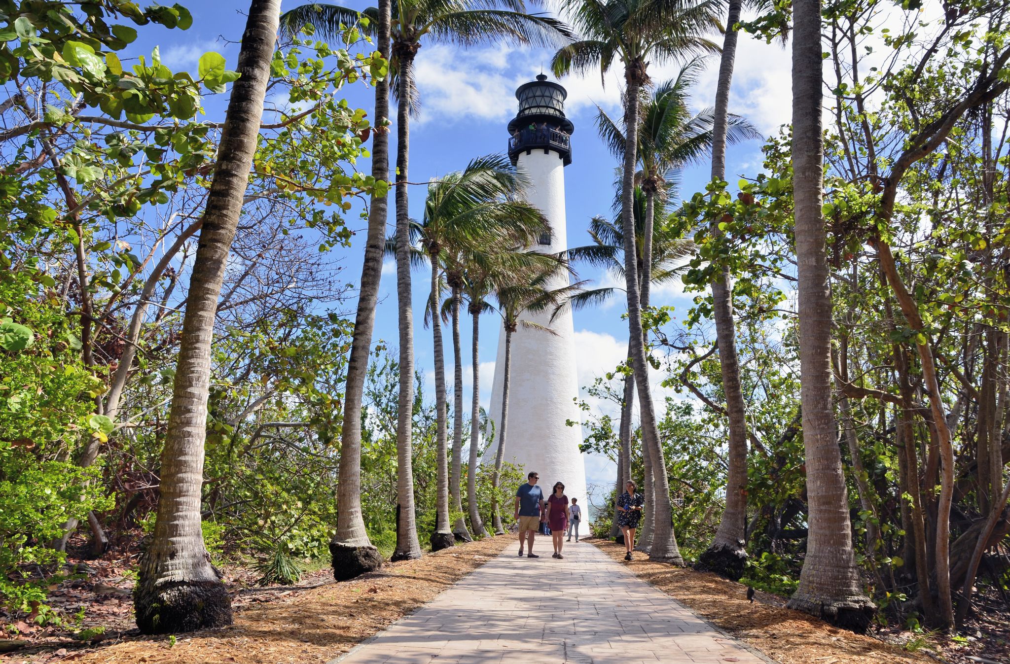 People walk on a path towards a white lighthouse framed by palm trees. - Cape Florida Lighthouse – Biscayne Bay Viewpoint loop from Bill Baggs Cape Florida State Park