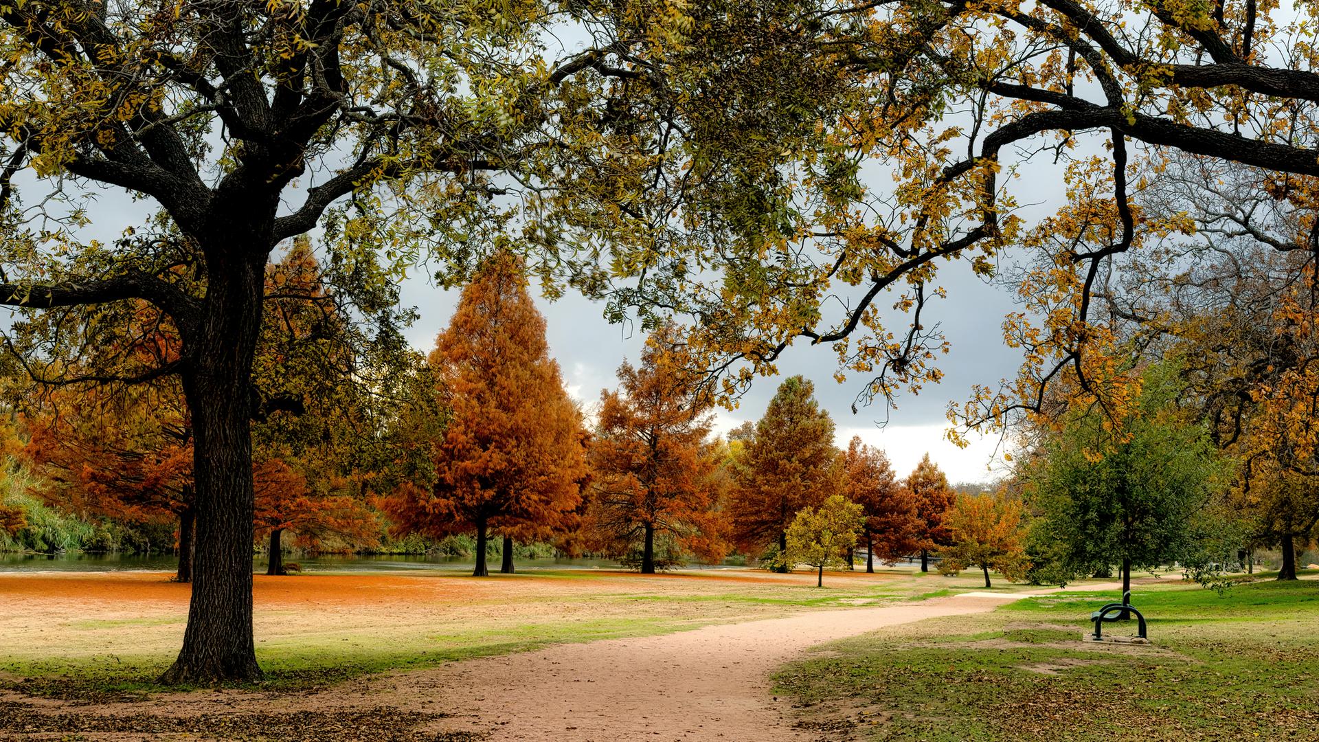 A dirt path winds through a park with colorful autumn trees under a cloudy sky.