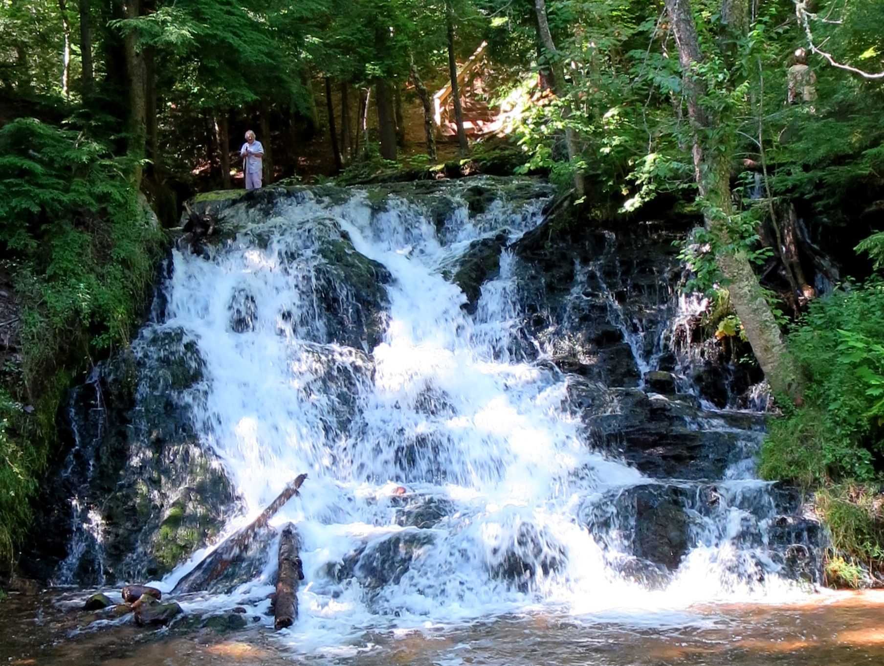 A person stands atop a cascading waterfall in a sunlit green forest. - Morgan Falls – Carp Eh Diem junction loop from South Vandenboom Recreation Area