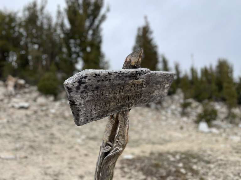 JMT/PCT and Goodale Pass Trail junction – Hikes & How to Get There | Komoot