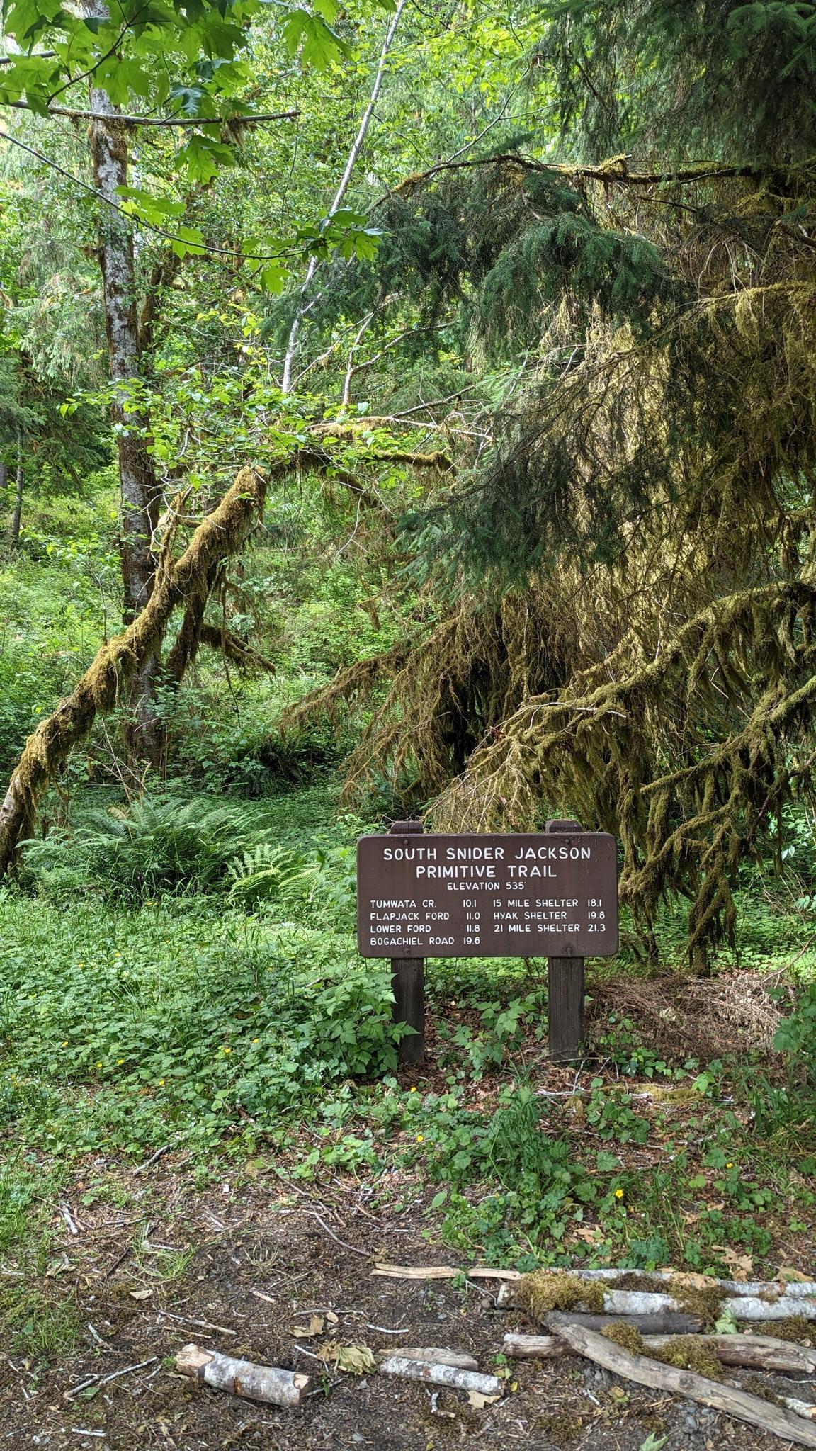 A wooden trail sign stands amidst dense green foliage and moss-covered trees.