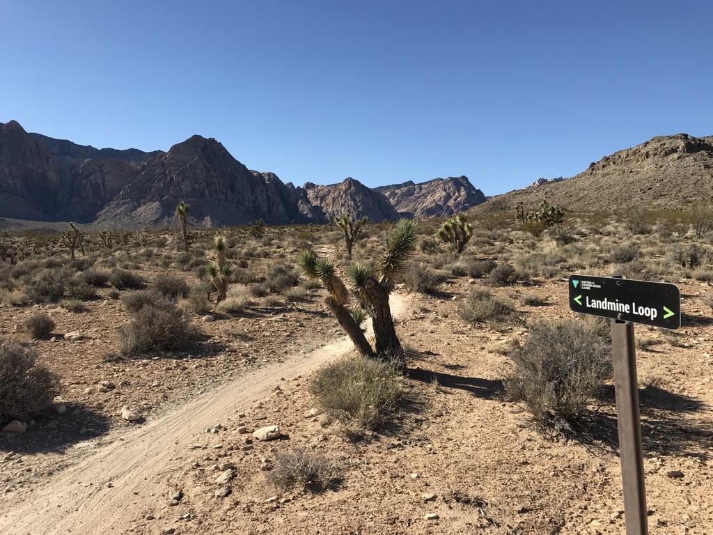 Desert trail with Joshua trees, mountains, and a trail sign under clear sky.