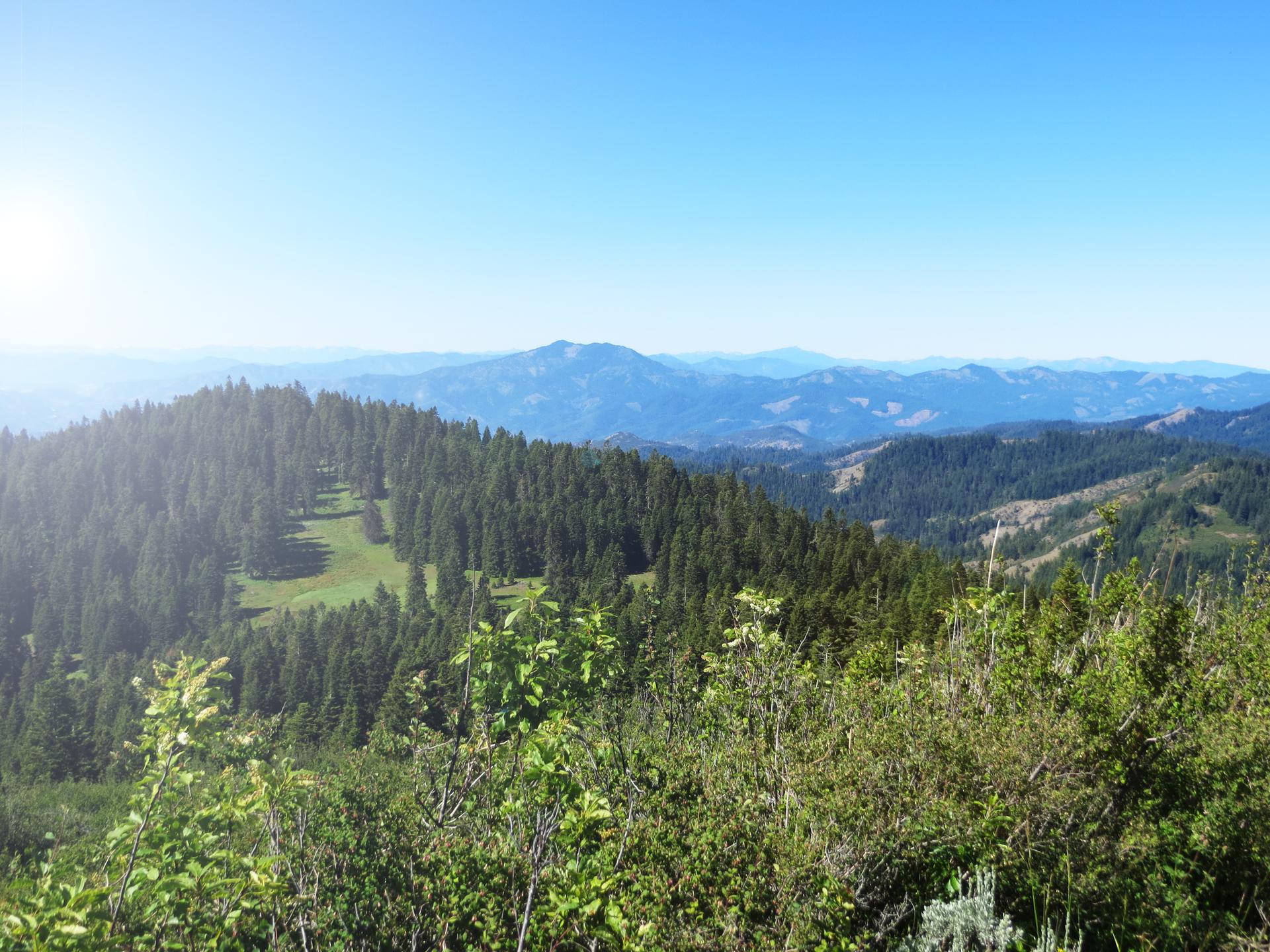 Expansive view of sunlit forested mountains and distant hazy hills under a clear sky.