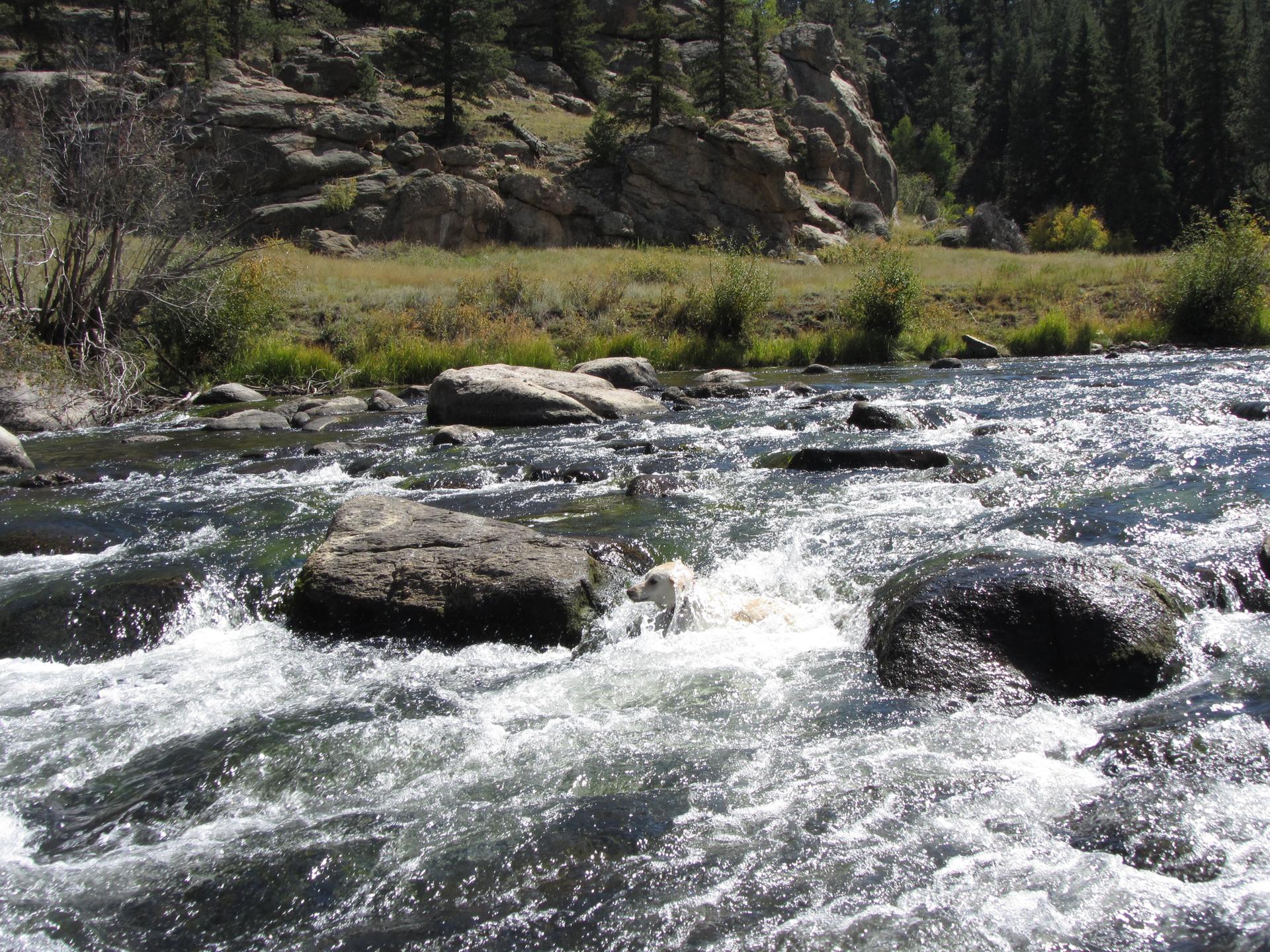 Bright sunlight illuminates a rocky river flowing past forested hills.
