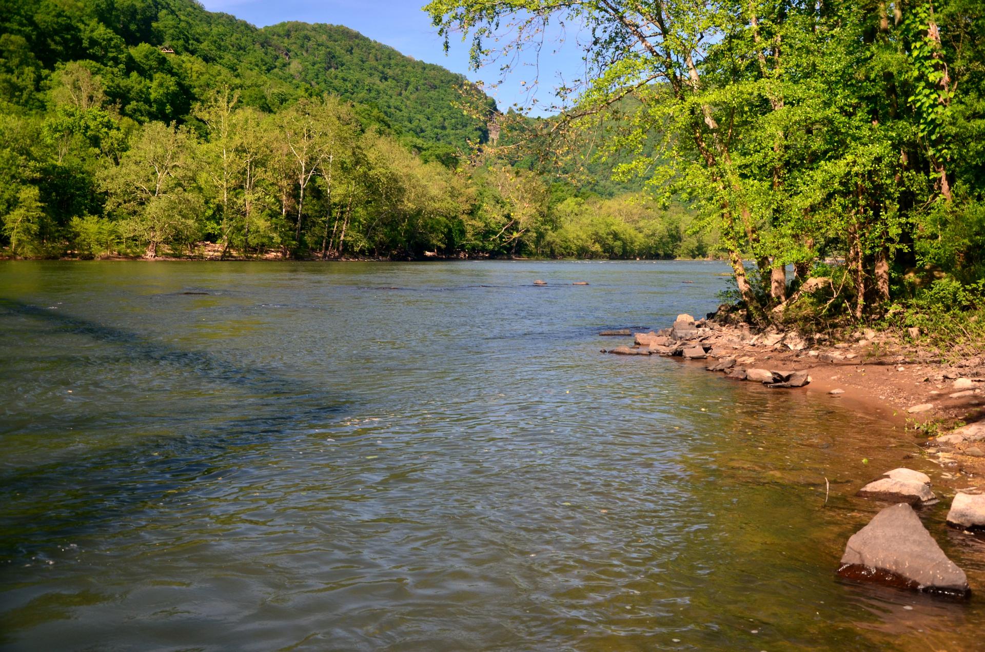 Sunny river scene with green forested mountains and a rocky shore.
