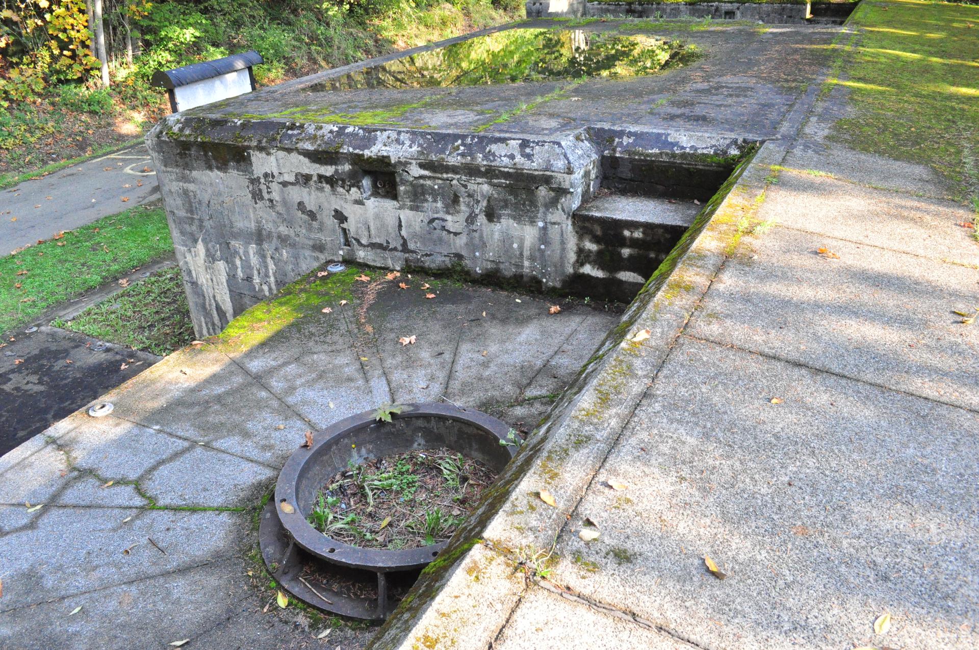 Mossy concrete structure with a circular metal ring, surrounded by green grass.