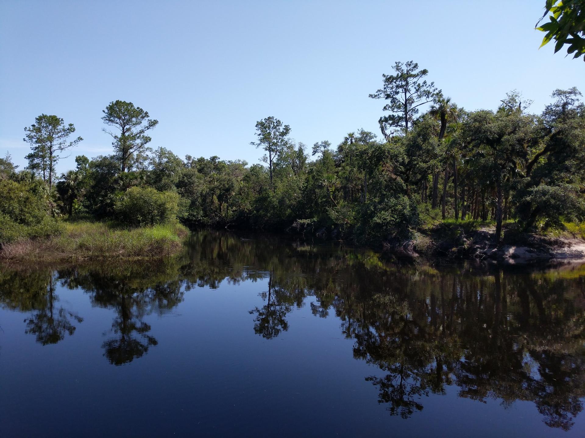 Calm river reflects green trees and clear blue sky on a sunny day.