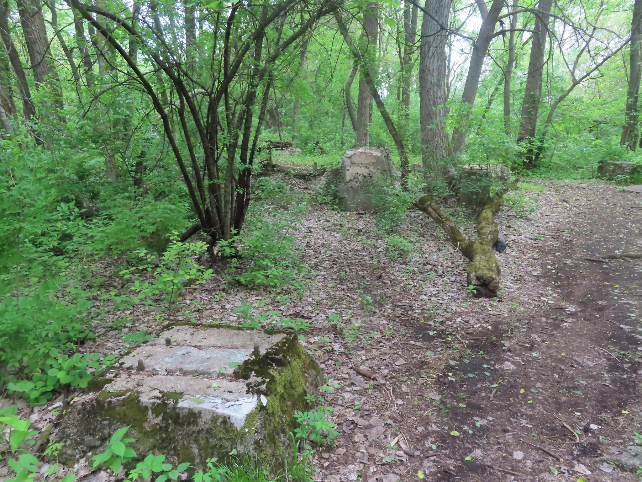 Mossy concrete blocks and a dirt path in a dense, green, shaded forest.