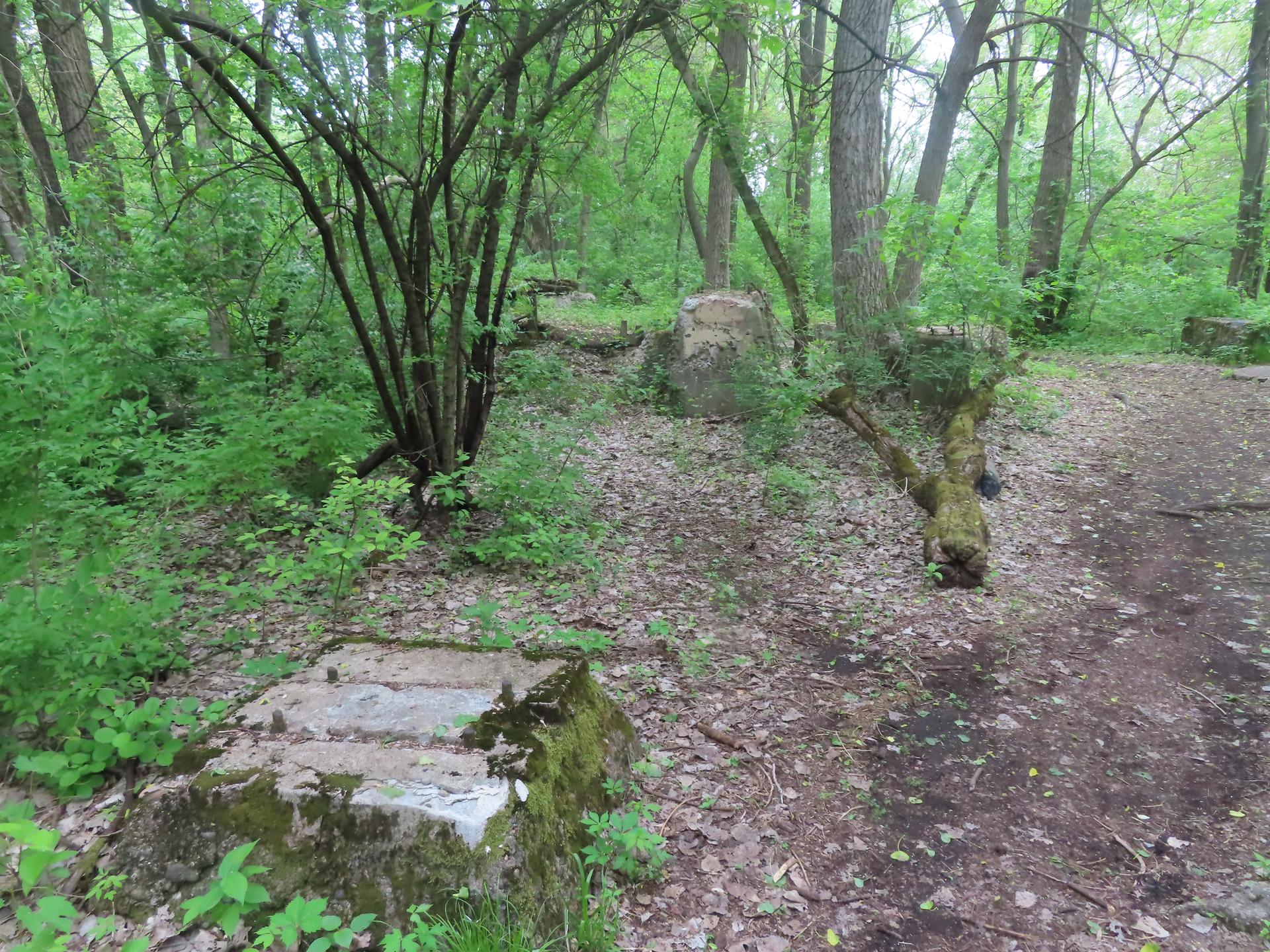 Mossy concrete blocks and a dirt path in a dense, green, shaded forest.
