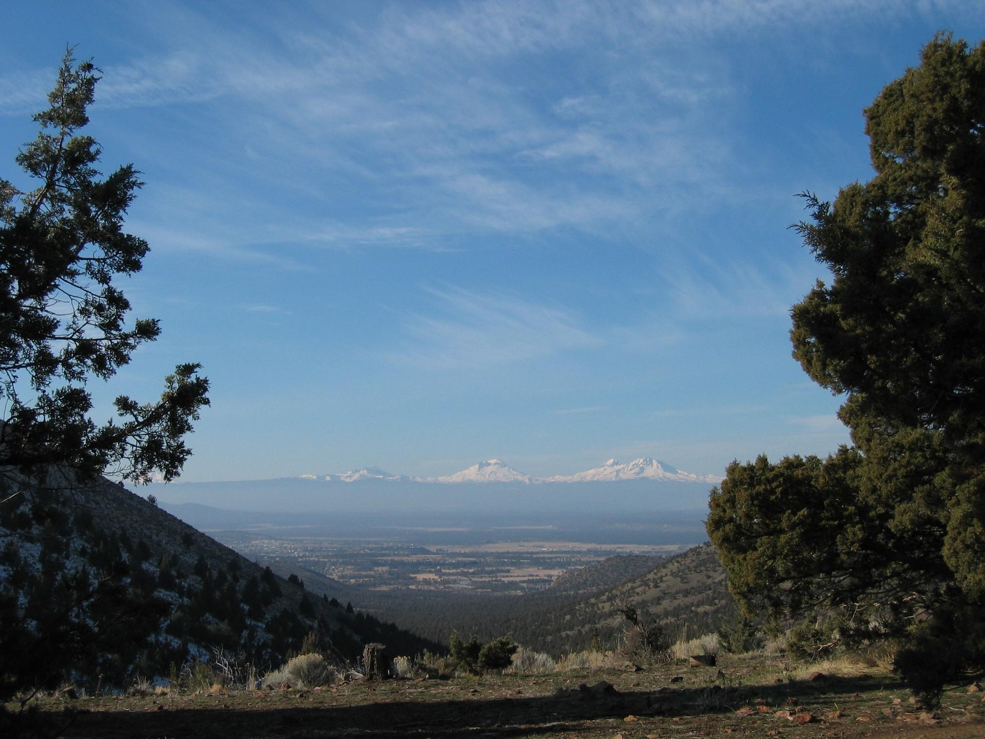 A scenic valley view with distant snow-capped mountains framed by evergreen trees.