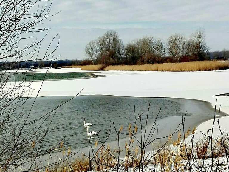 60+ Dalchau Grosser Teich Teich, Der teich gehört als quellgebiet