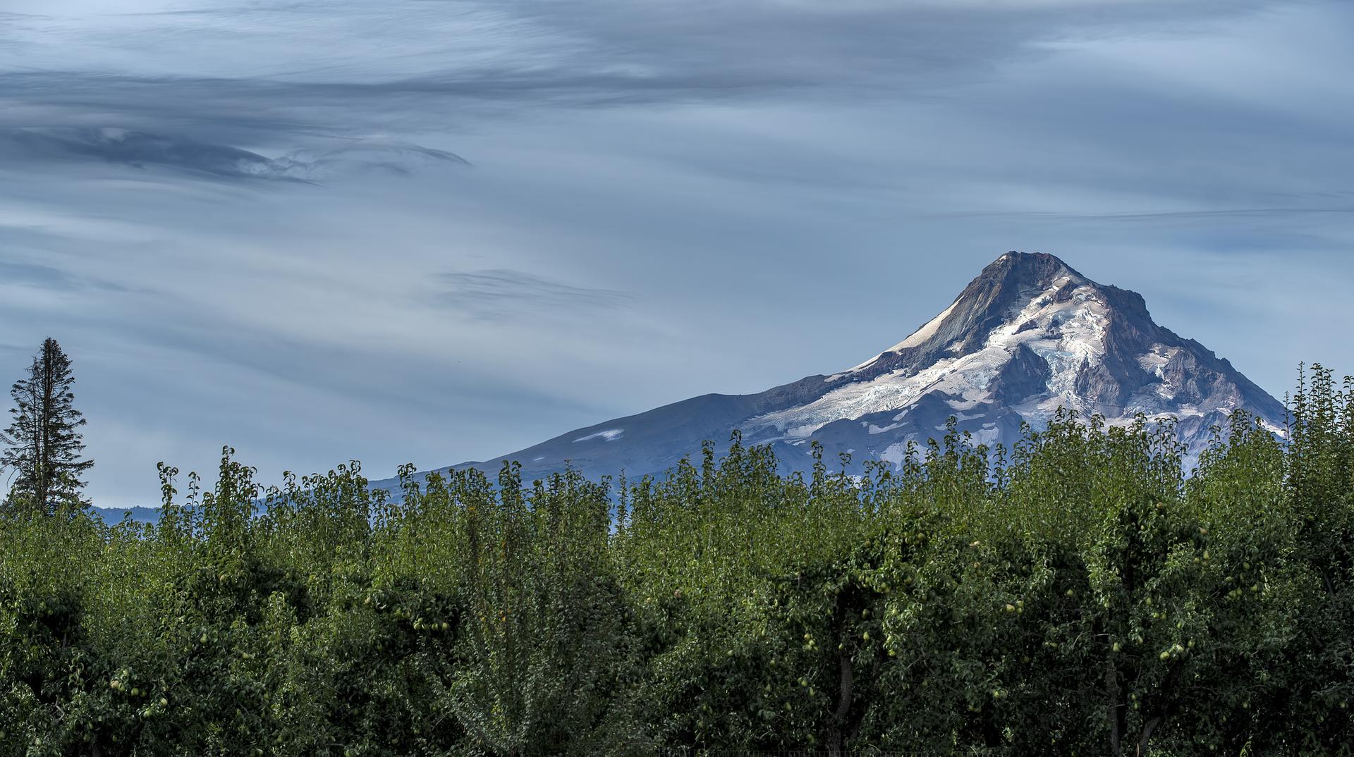 A majestic snow-capped mountain rises above green trees under a cloudy sky.