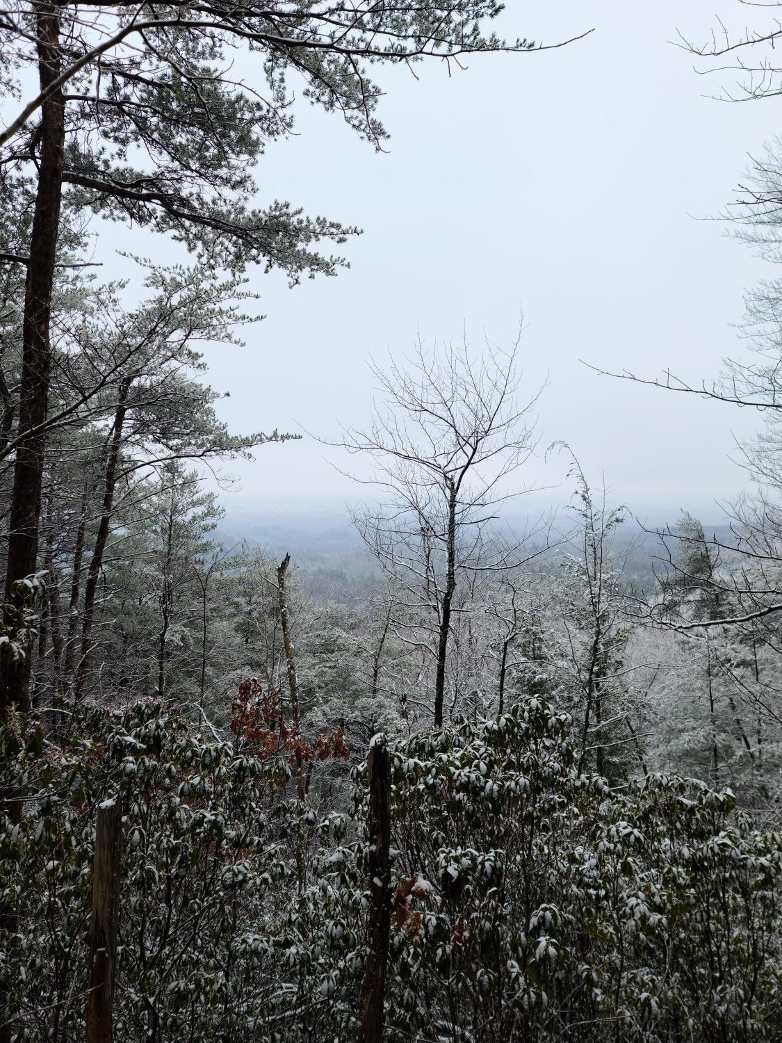 Snowy forest landscape with bare trees, distant hazy mountains, under an overcast sky.