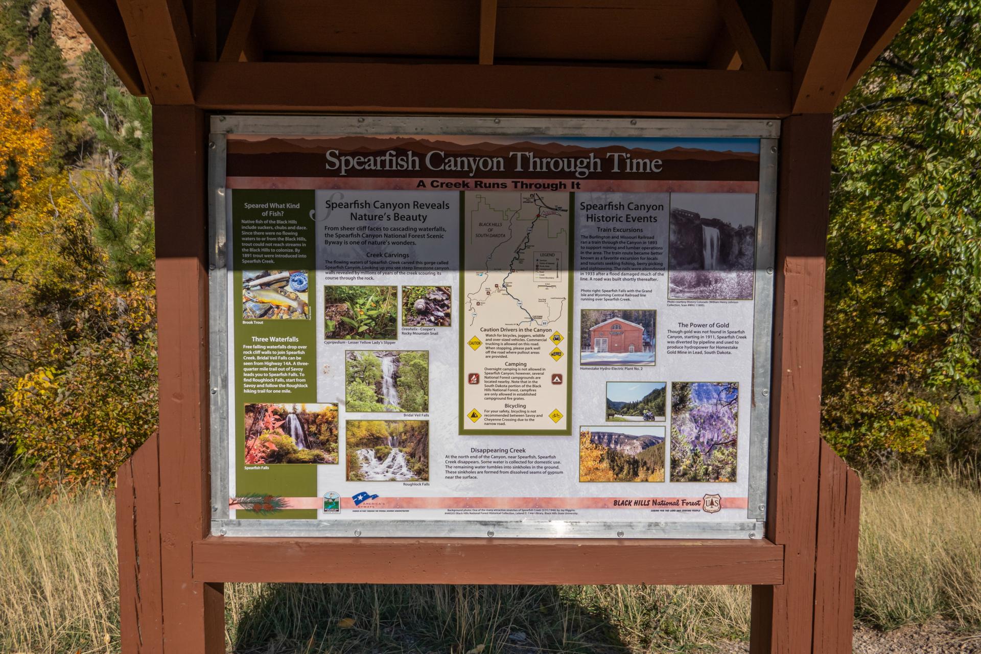 An outdoor interpretive sign with text and photos, surrounded by fall foliage.