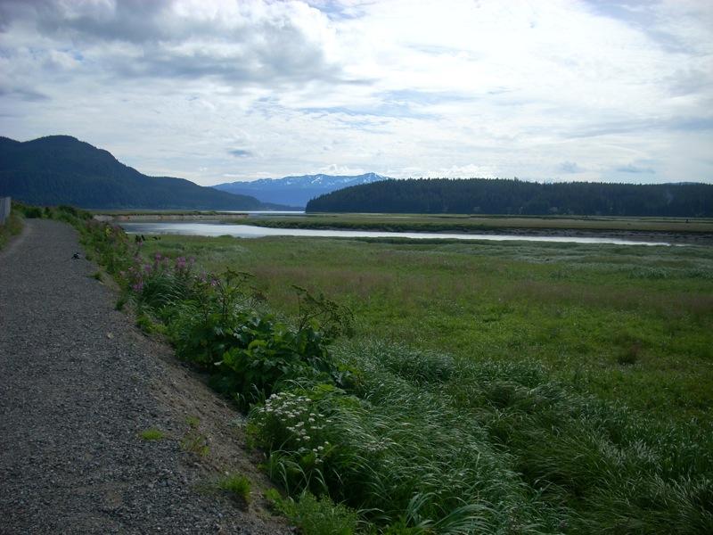 A gravel path borders a vast green marsh leading to distant mountains.