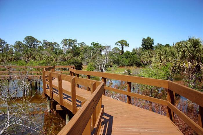 Winding wooden boardwalk over a wetland with trees under a clear sky.